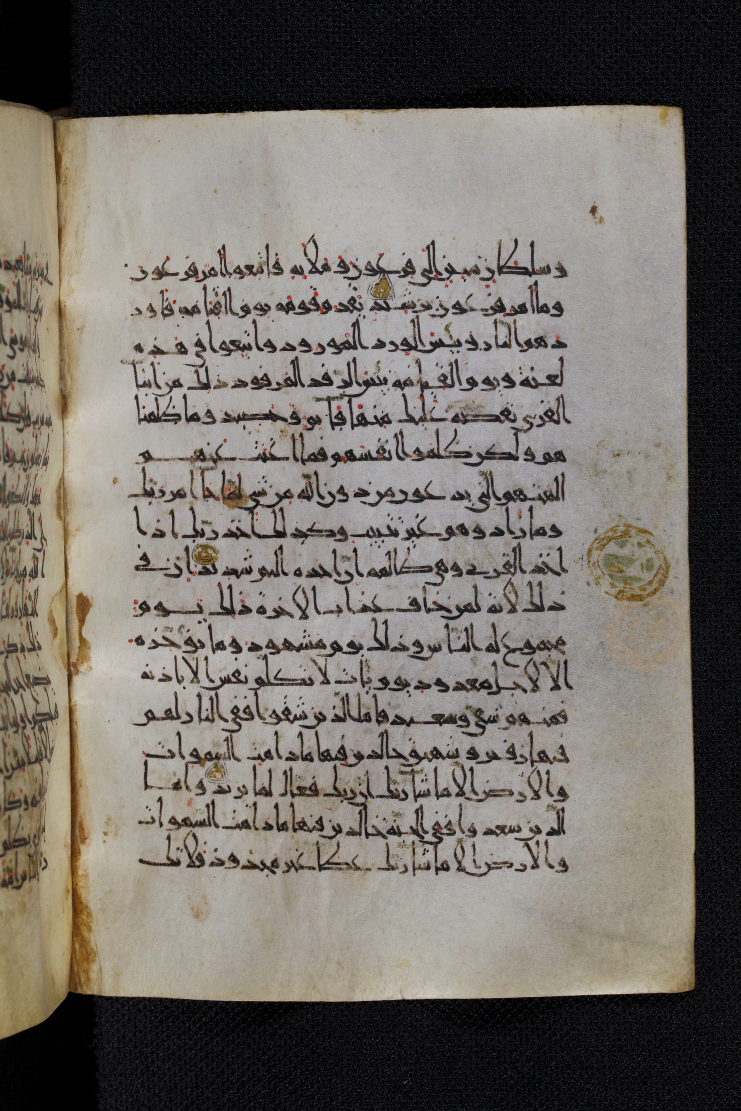 Diez A oct 172, in Transitional Maghrebi script, showing Surah 11:98 from Late 9th to Mid 11th Century AD found in Unknown, currently housed at Staatsbibliothek zu Berlin, Berlin, Germany