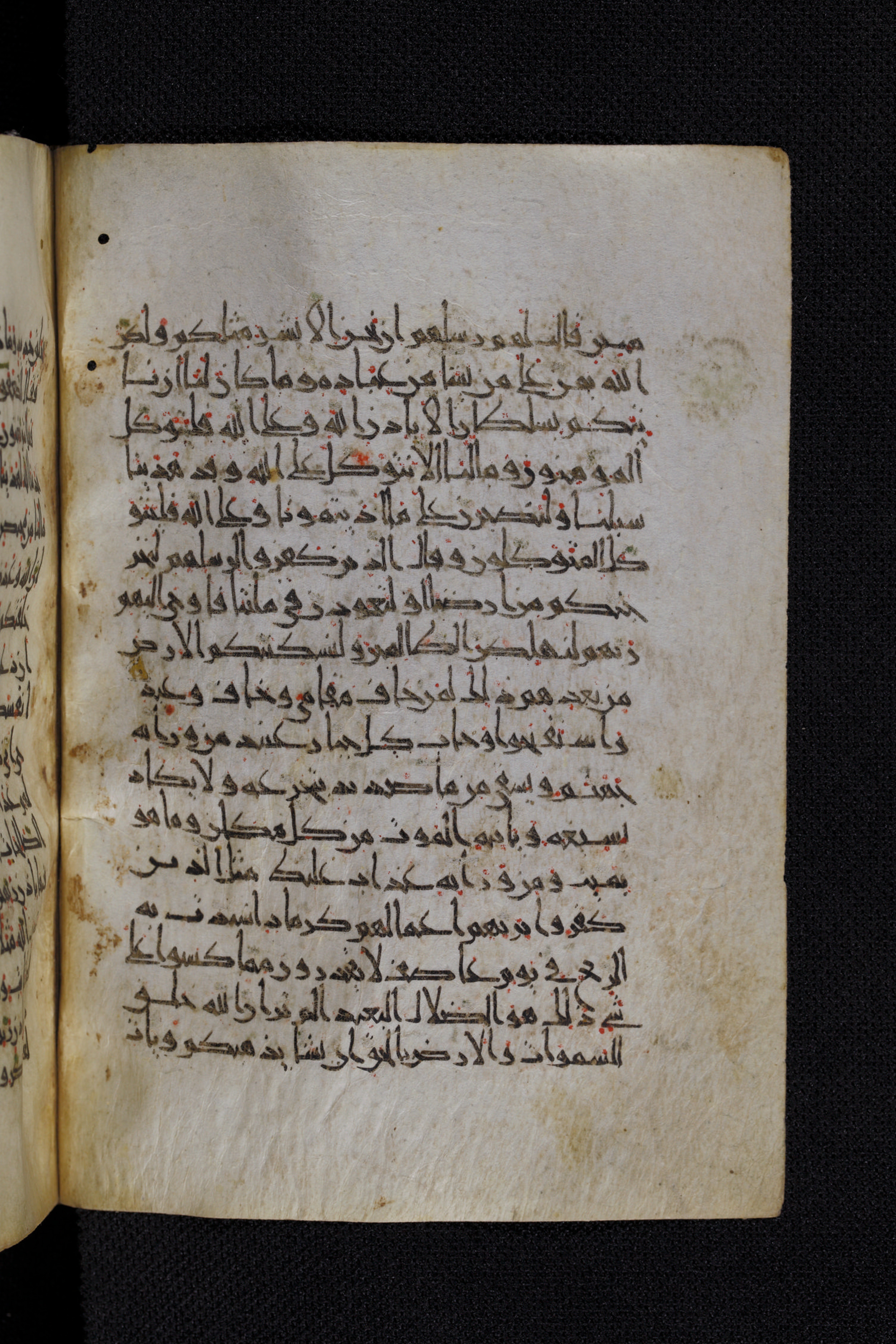 Diez A oct 172, in Transitional Maghrebi script, showing Surah 14:13 from Late 9th to Mid 11th Century AD found in Unknown, currently housed at Staatsbibliothek zu Berlin, Berlin, Germany