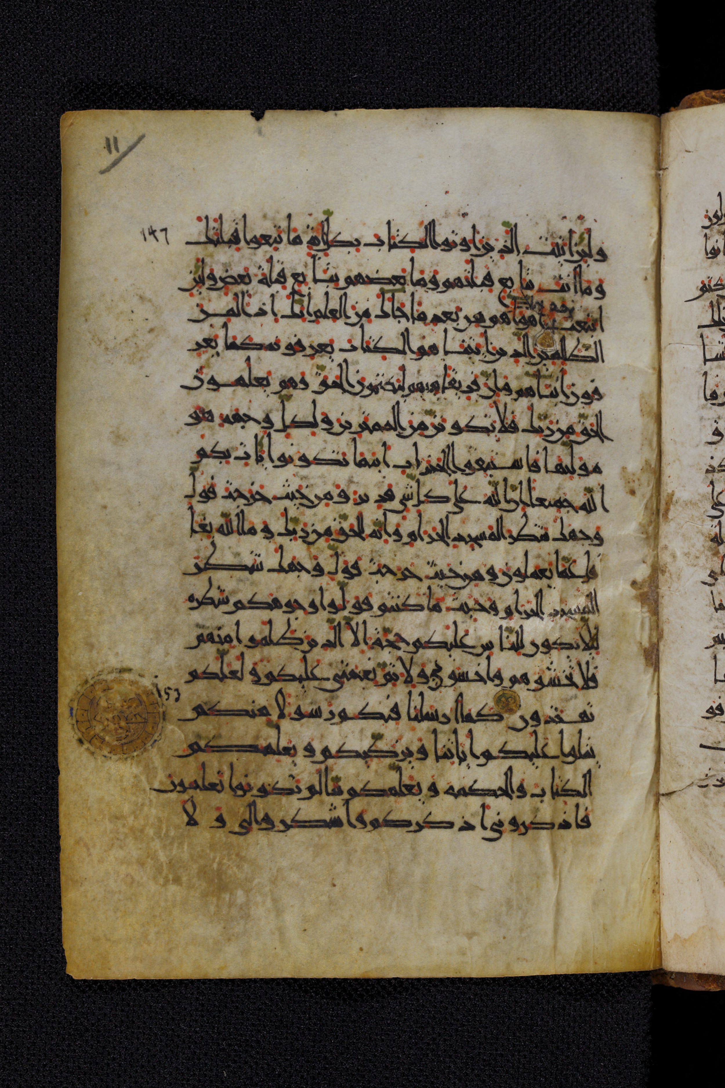 Diez A oct 172, in Transitional Maghrebi script, showing Surah 2:151 from Late 9th to Mid 11th Century AD found in Unknown, currently housed at Staatsbibliothek zu Berlin, Berlin, Germany