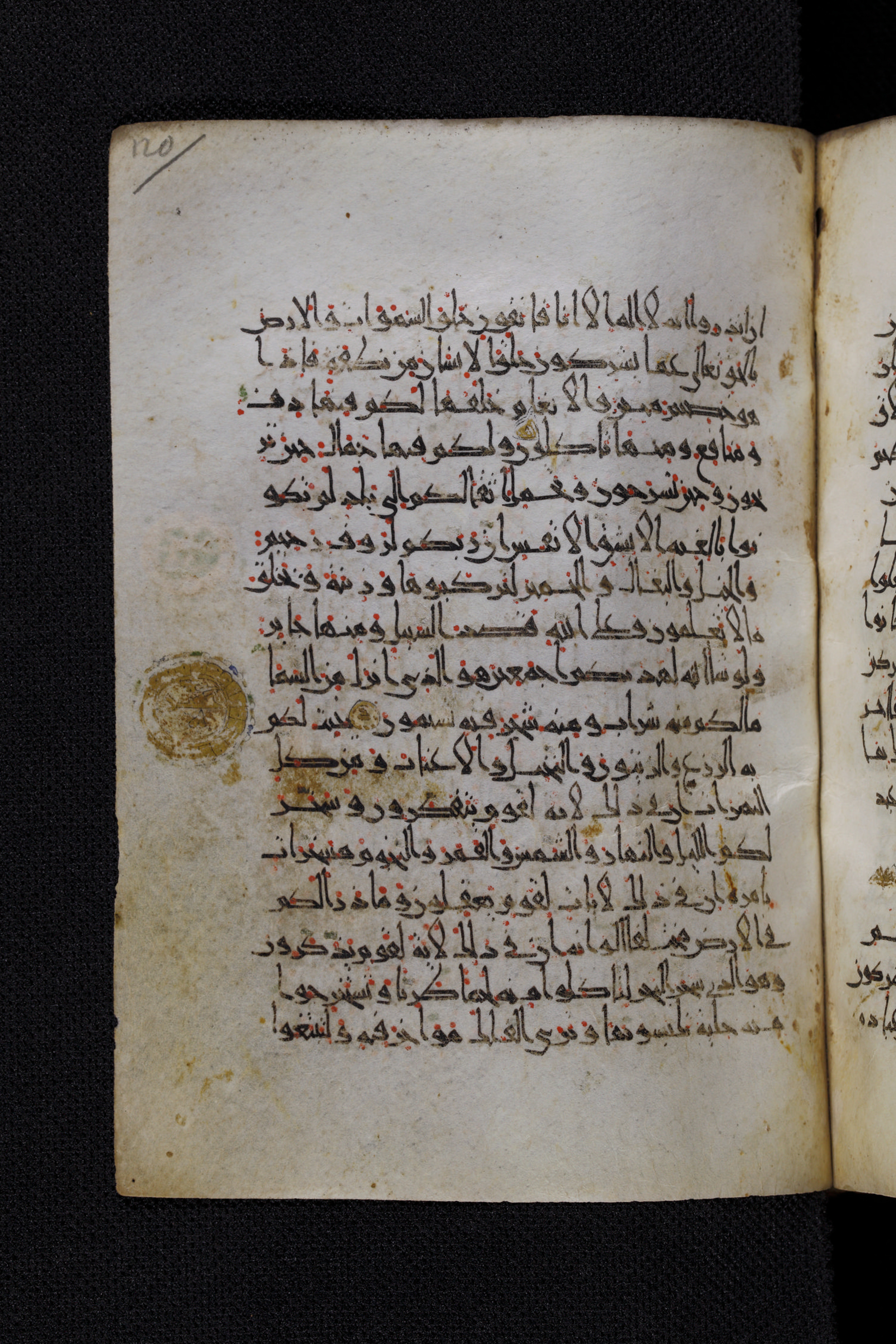 Diez A oct 172, in Transitional Maghrebi script, showing Surah 16:13 from Late 9th to Mid 11th Century AD found in Unknown, currently housed at Staatsbibliothek zu Berlin, Berlin, Germany