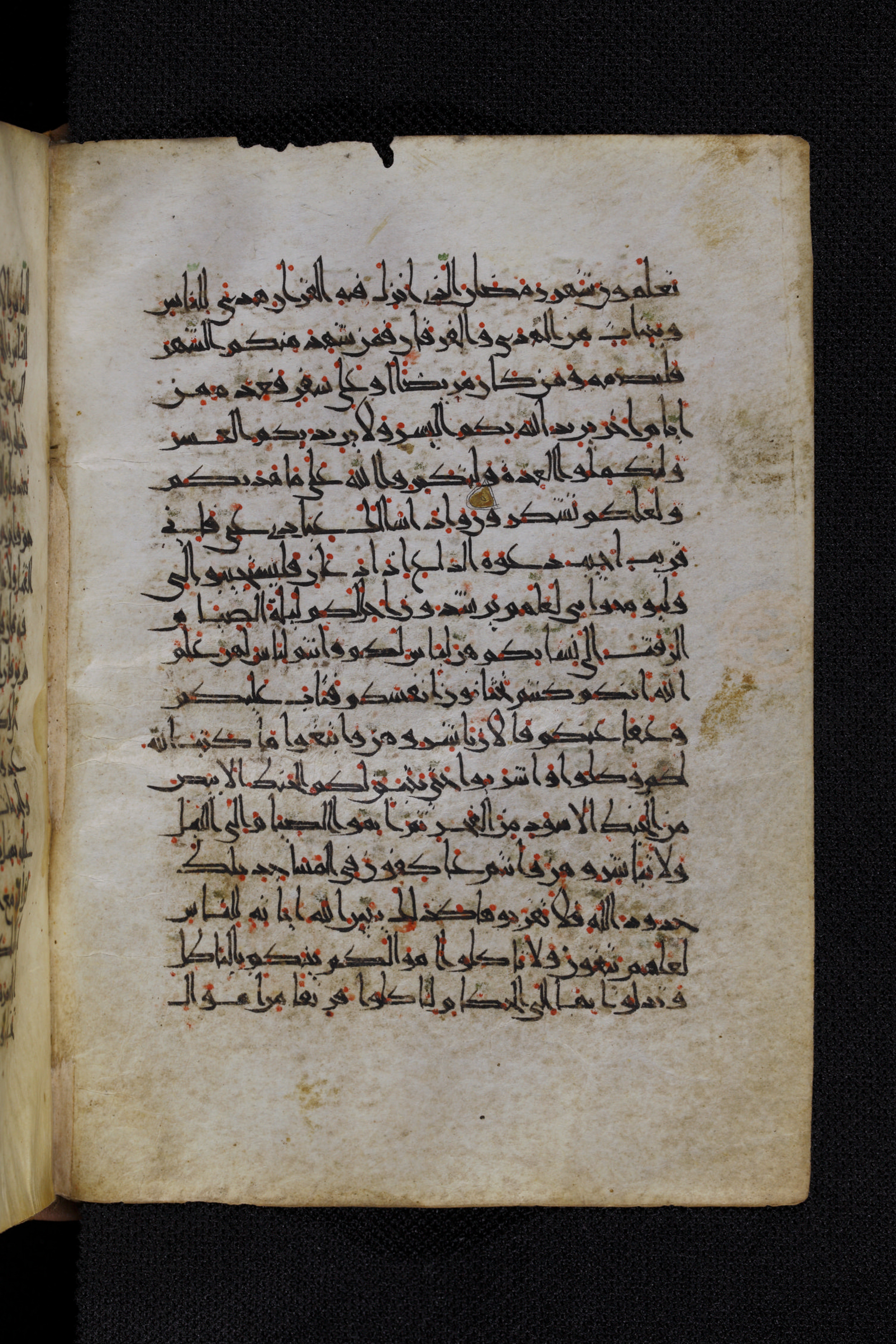 Diez A oct 172, in Transitional Maghrebi script, showing Surah 2:185 from Late 9th to Mid 11th Century AD found in Unknown, currently housed at Staatsbibliothek zu Berlin, Berlin, Germany
