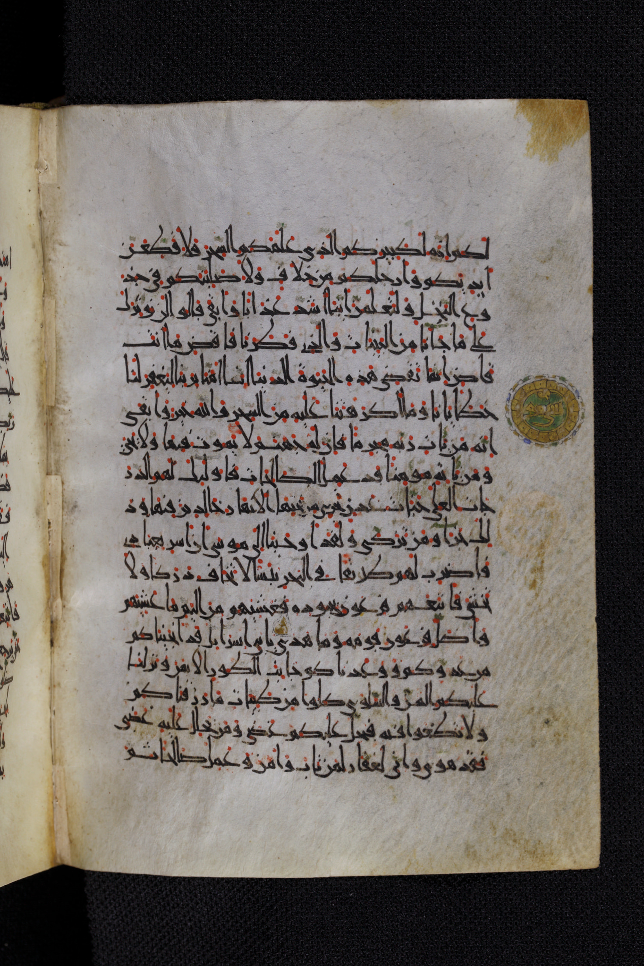 Diez A oct 172 (Scan 2), in Transitional Maghrebi script, showing Surah 20:71 from Late 9th to Mid 11th Century AD found in Unknown, currently housed at Staatsbibliothek zu Berlin, Berlin, Germany