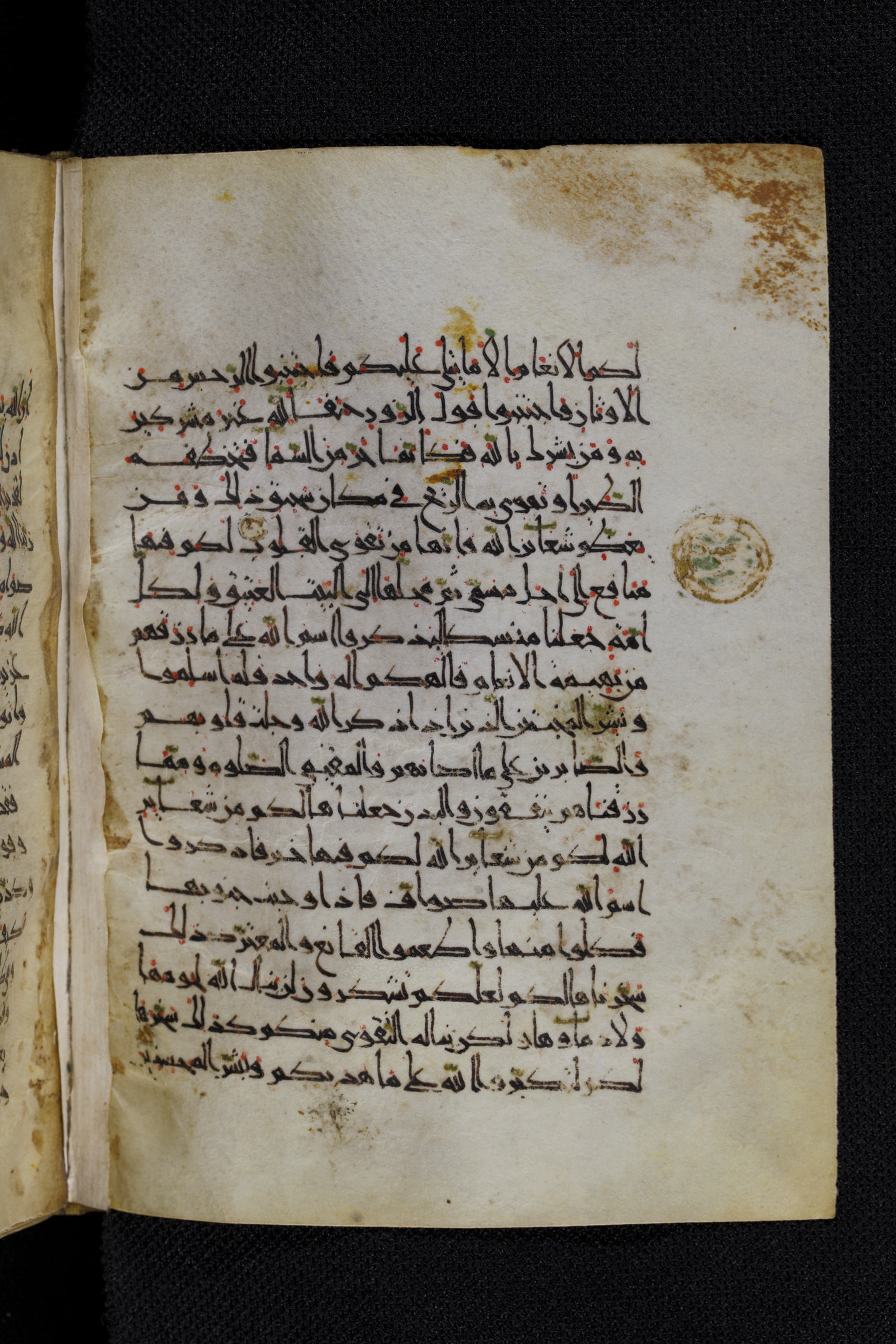 Diez A oct 172, in Transitional Maghrebi script, showing Surah 22:33 from Late 9th to Mid 11th Century AD found in Unknown, currently housed at Staatsbibliothek zu Berlin, Berlin, Germany