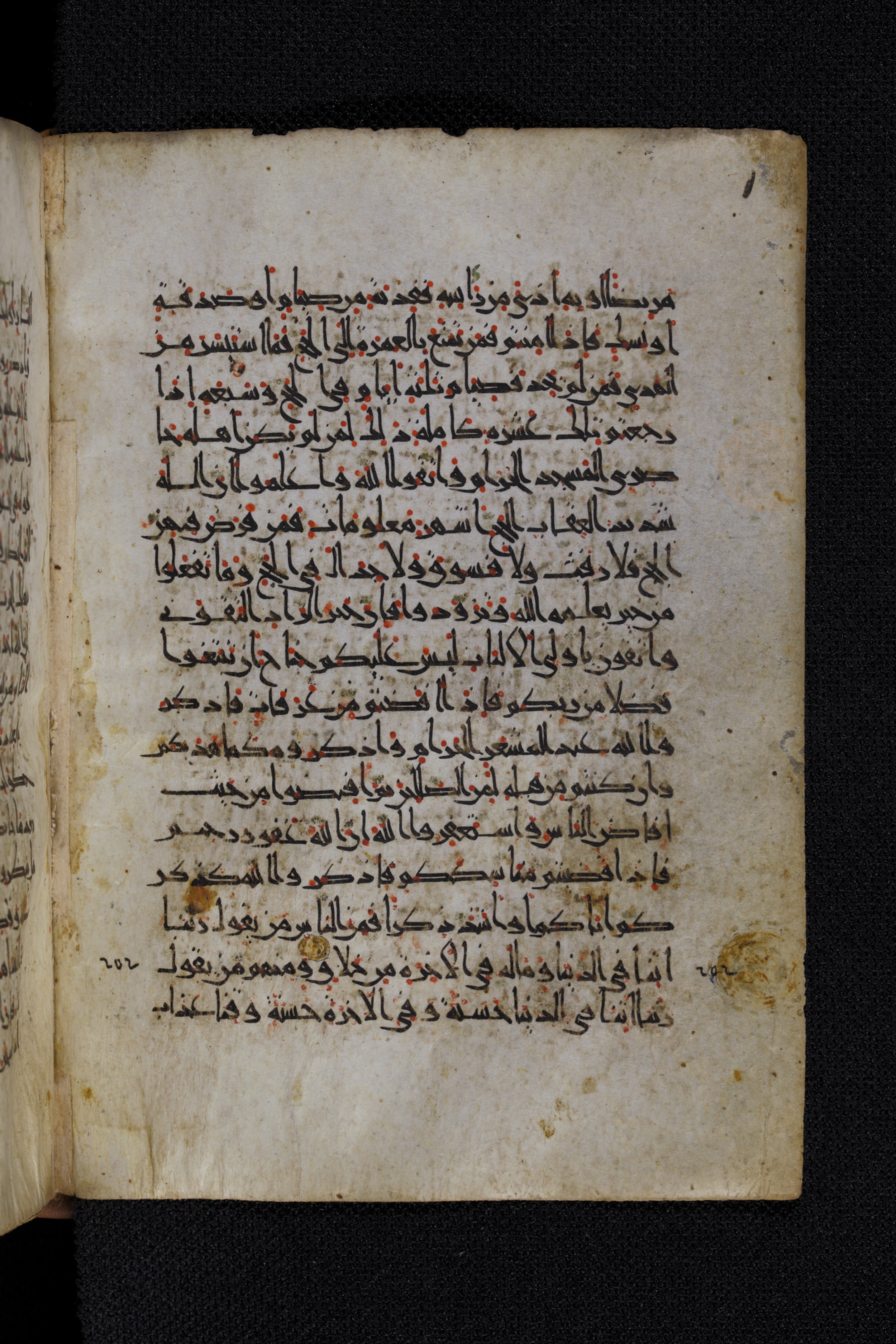 Diez A oct 172, in Transitional Maghrebi script, showing Surah 2:199 from Late 9th to Mid 11th Century AD found in Unknown, currently housed at Staatsbibliothek zu Berlin, Berlin, Germany