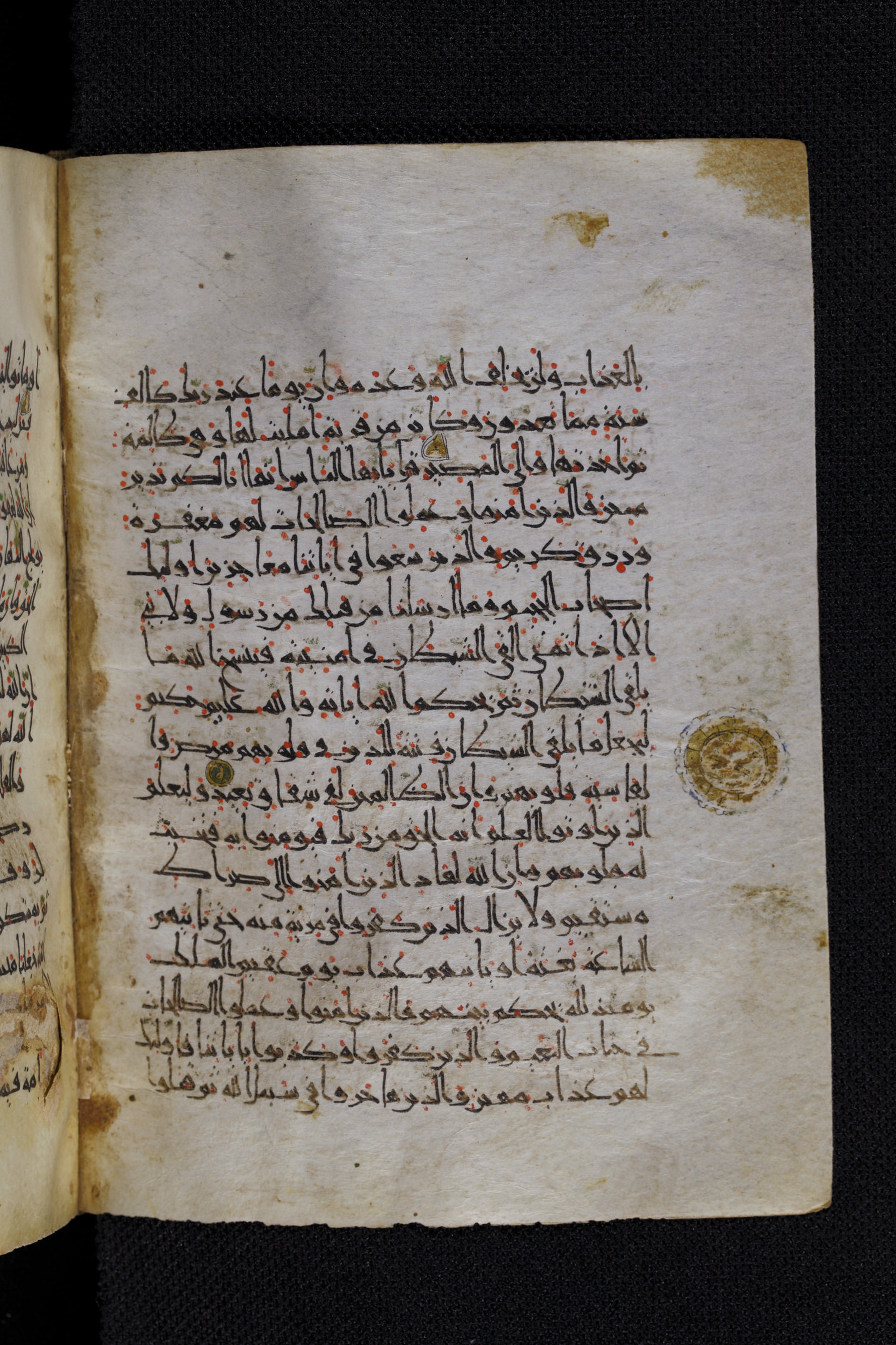 Diez A oct 172, in Transitional Maghrebi script, showing Surah 22:49 from Late 9th to Mid 11th Century AD found in Unknown, currently housed at Staatsbibliothek zu Berlin, Berlin, Germany