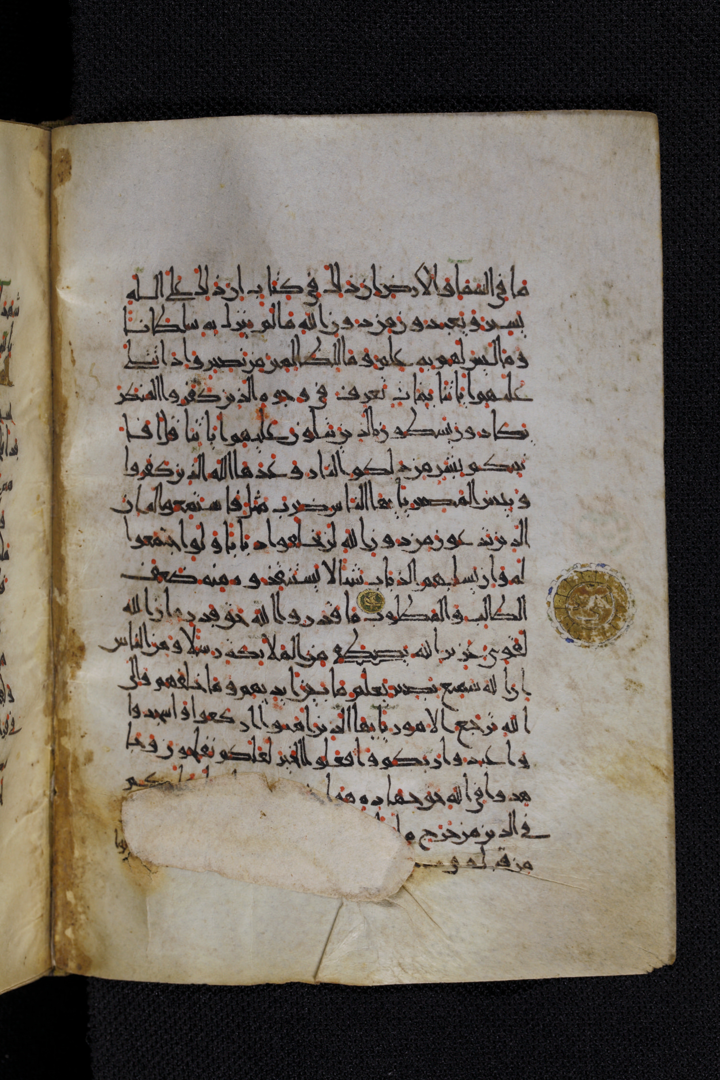 Diez A oct 172, in Transitional Maghrebi script, showing Surah 22:71 from Late 9th to Mid 11th Century AD found in Unknown, currently housed at Staatsbibliothek zu Berlin, Berlin, Germany
