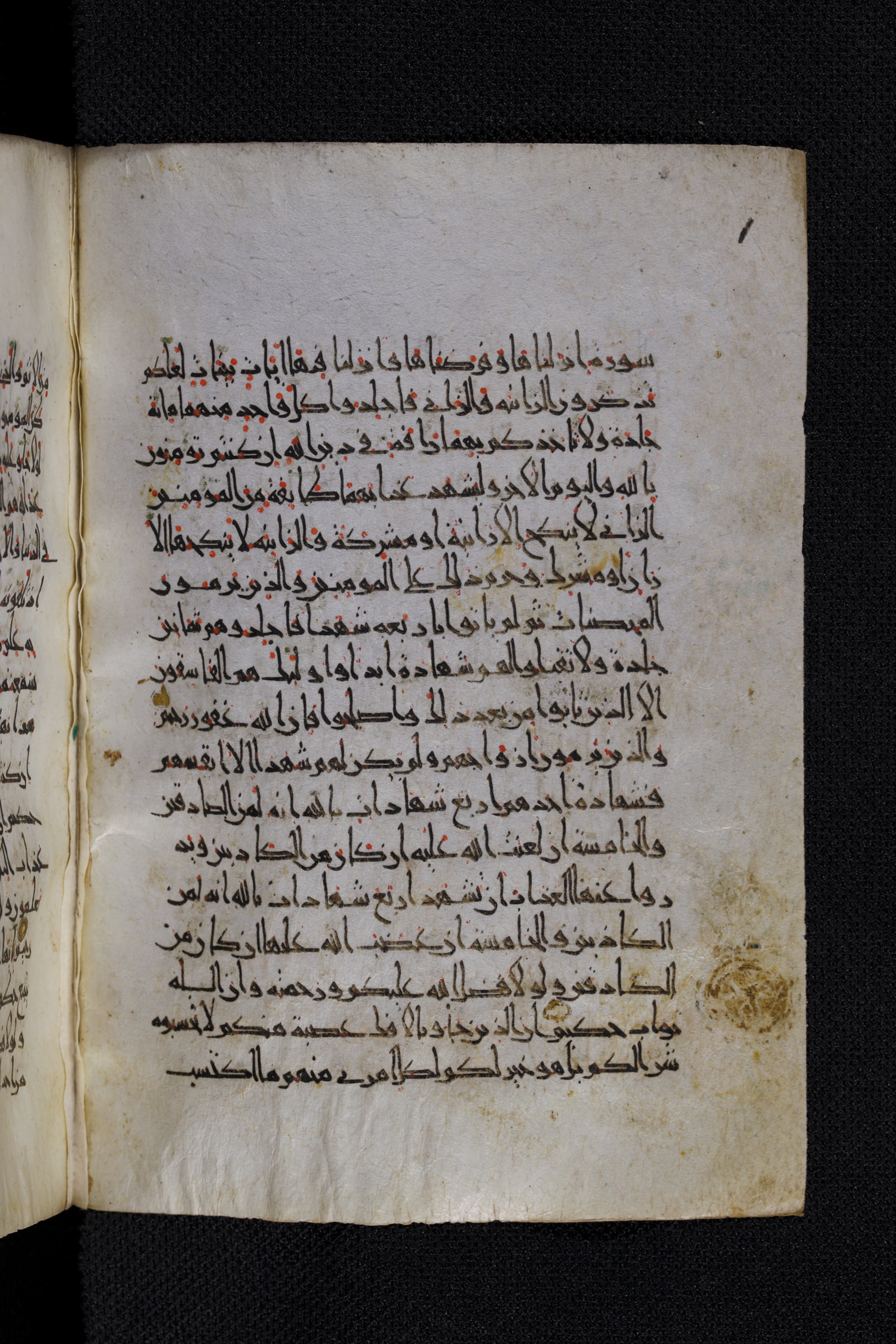 Diez A oct 172, in Transitional Maghrebi script, showing Surah 24:2 from Late 9th to Mid 11th Century AD found in Unknown, currently housed at Staatsbibliothek zu Berlin, Berlin, Germany