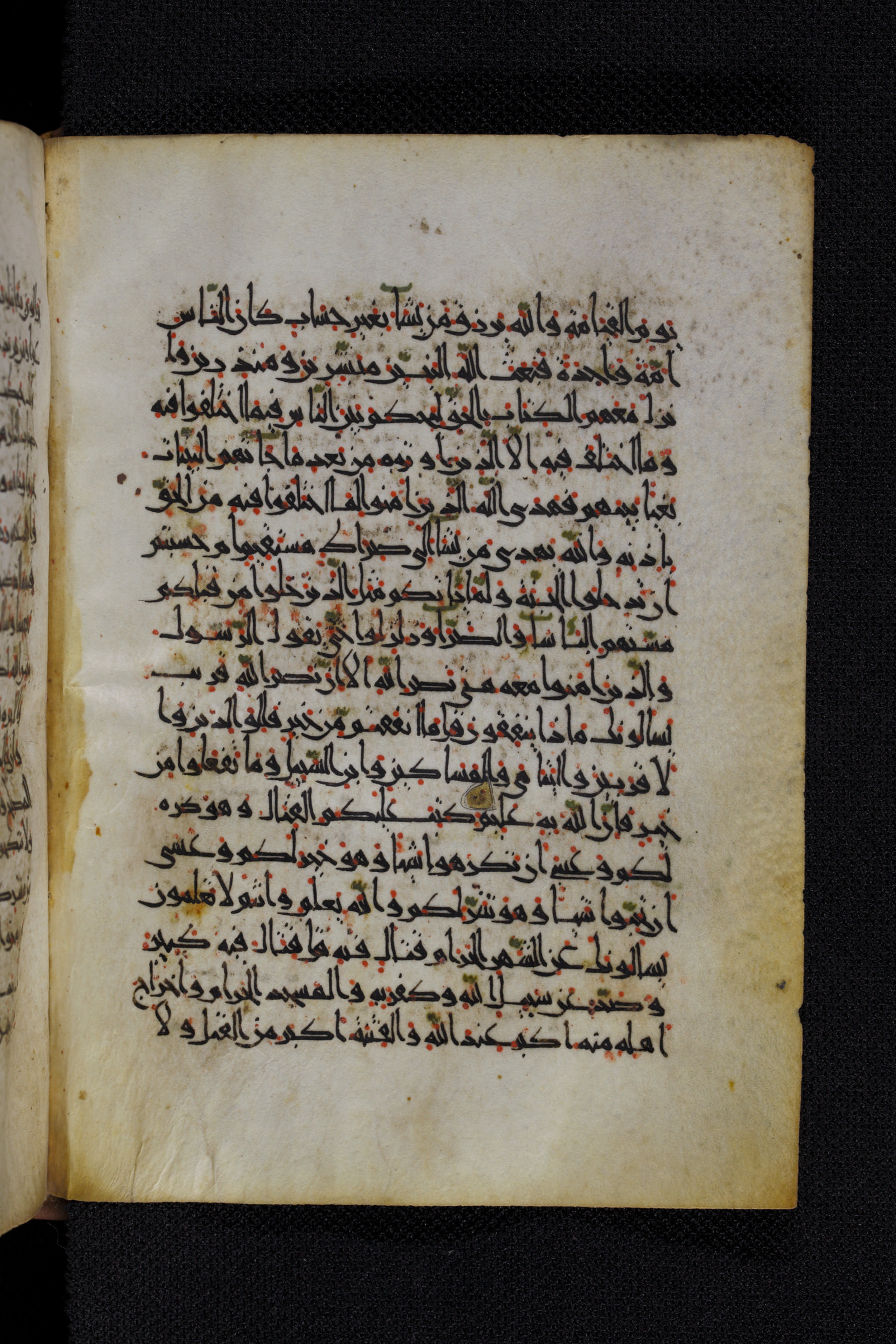 Diez A oct 172 (Scan 1), in Transitional Maghrebi script, showing Surah 2:217 from Late 9th to Mid 11th Century AD found in Unknown, currently housed at Staatsbibliothek zu Berlin, Berlin, Germany