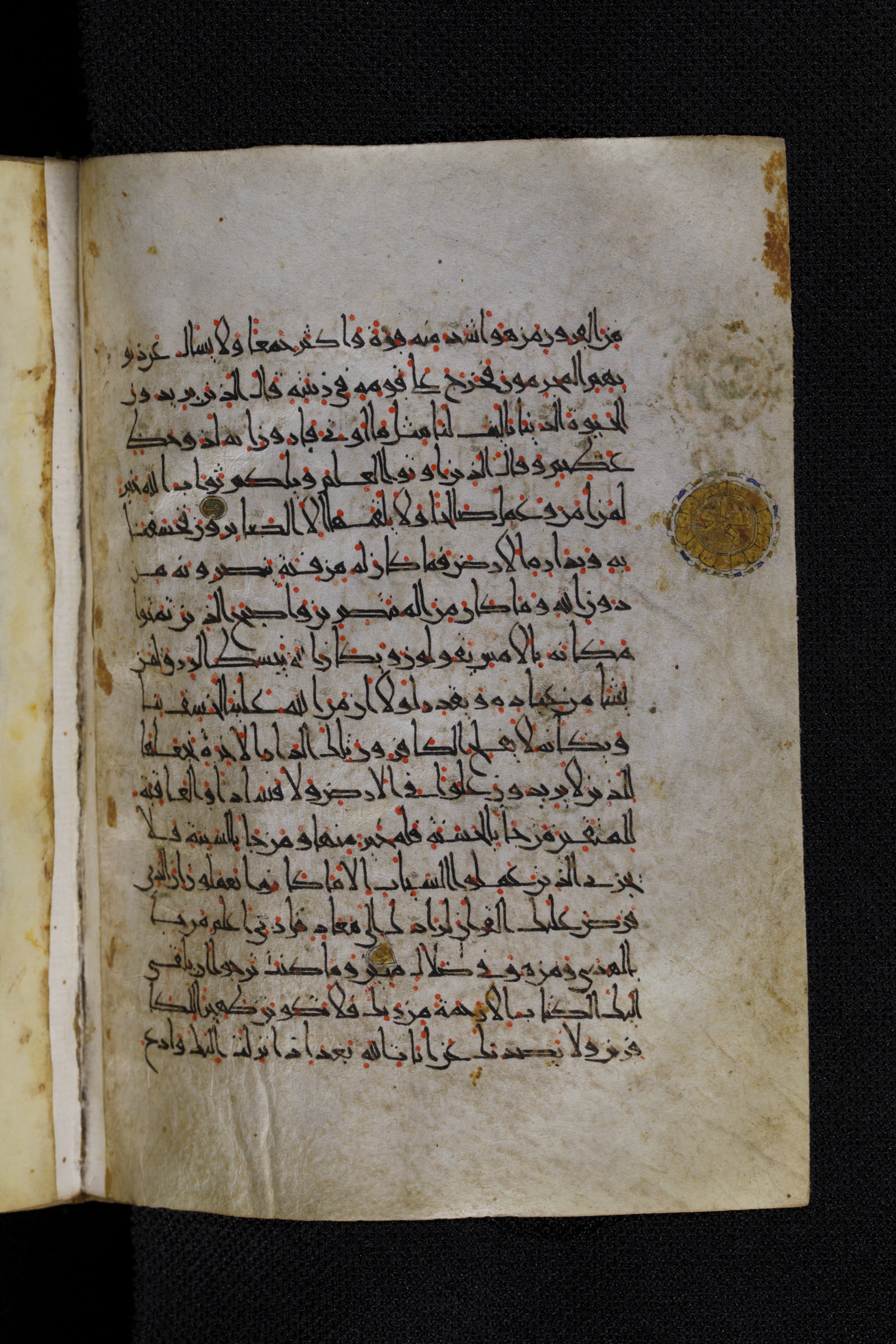 Diez A oct 172, in Transitional Maghrebi script, showing Surah 28:83 from Late 9th to Mid 11th Century AD found in Unknown, currently housed at Staatsbibliothek zu Berlin, Berlin, Germany