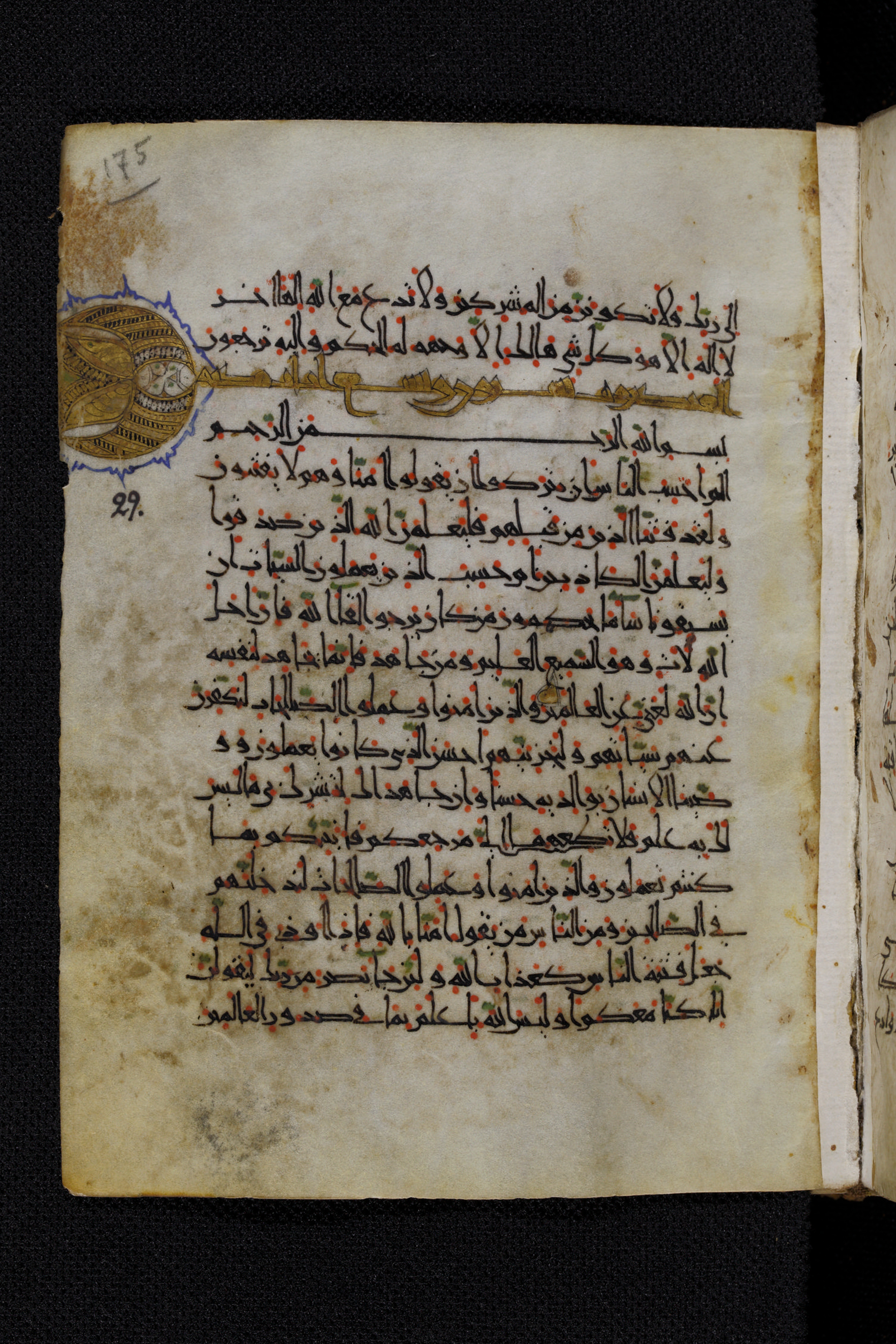 Diez A oct 172, in Transitional Maghrebi script, showing Surah 29:3 from Late 9th to Mid 11th Century AD found in Unknown, currently housed at Staatsbibliothek zu Berlin, Berlin, Germany