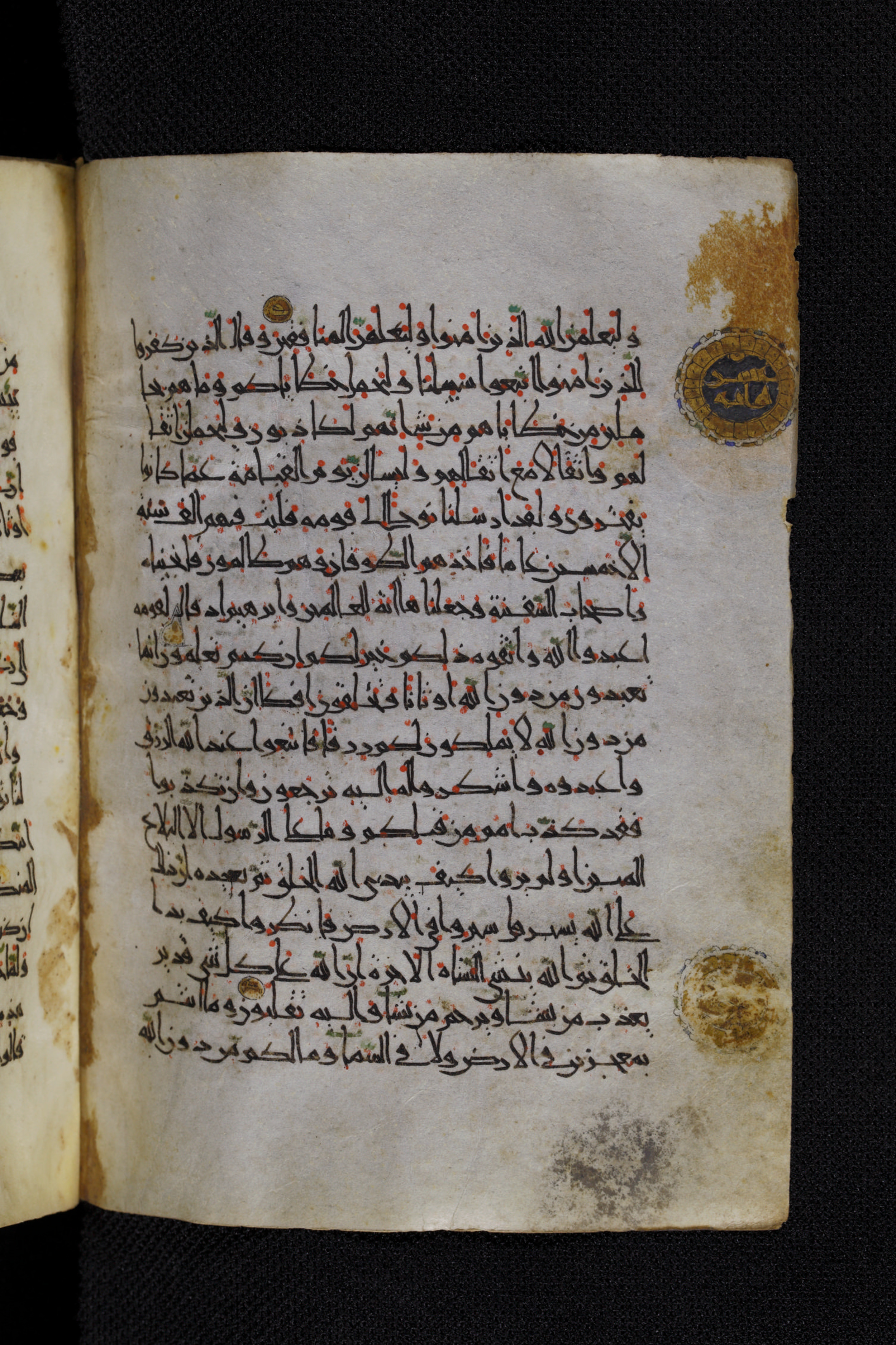 Diez A oct 172, in Transitional Maghrebi script, showing Surah 29:21 from Late 9th to Mid 11th Century AD found in Unknown, currently housed at Staatsbibliothek zu Berlin, Berlin, Germany