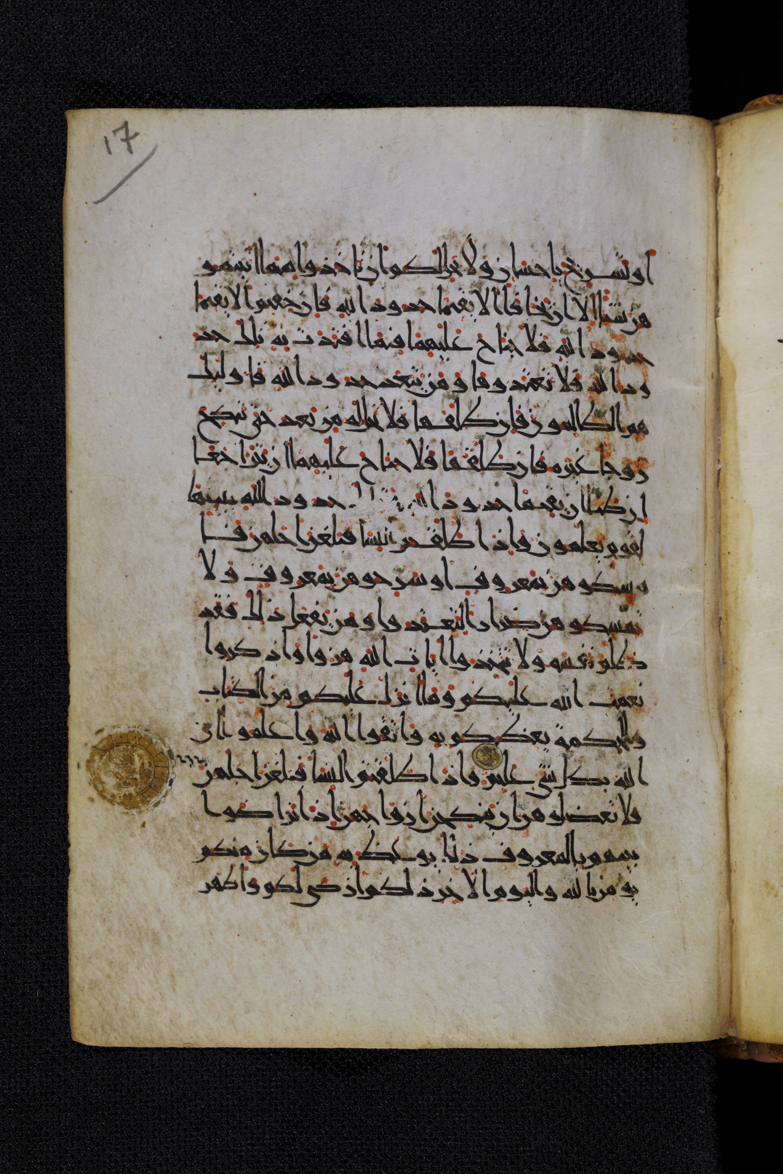Diez A oct 172 (Scan 1), in Transitional Maghrebi script, showing Surah 2:232 from Late 9th to Mid 11th Century AD found in Unknown, currently housed at Staatsbibliothek zu Berlin, Berlin, Germany