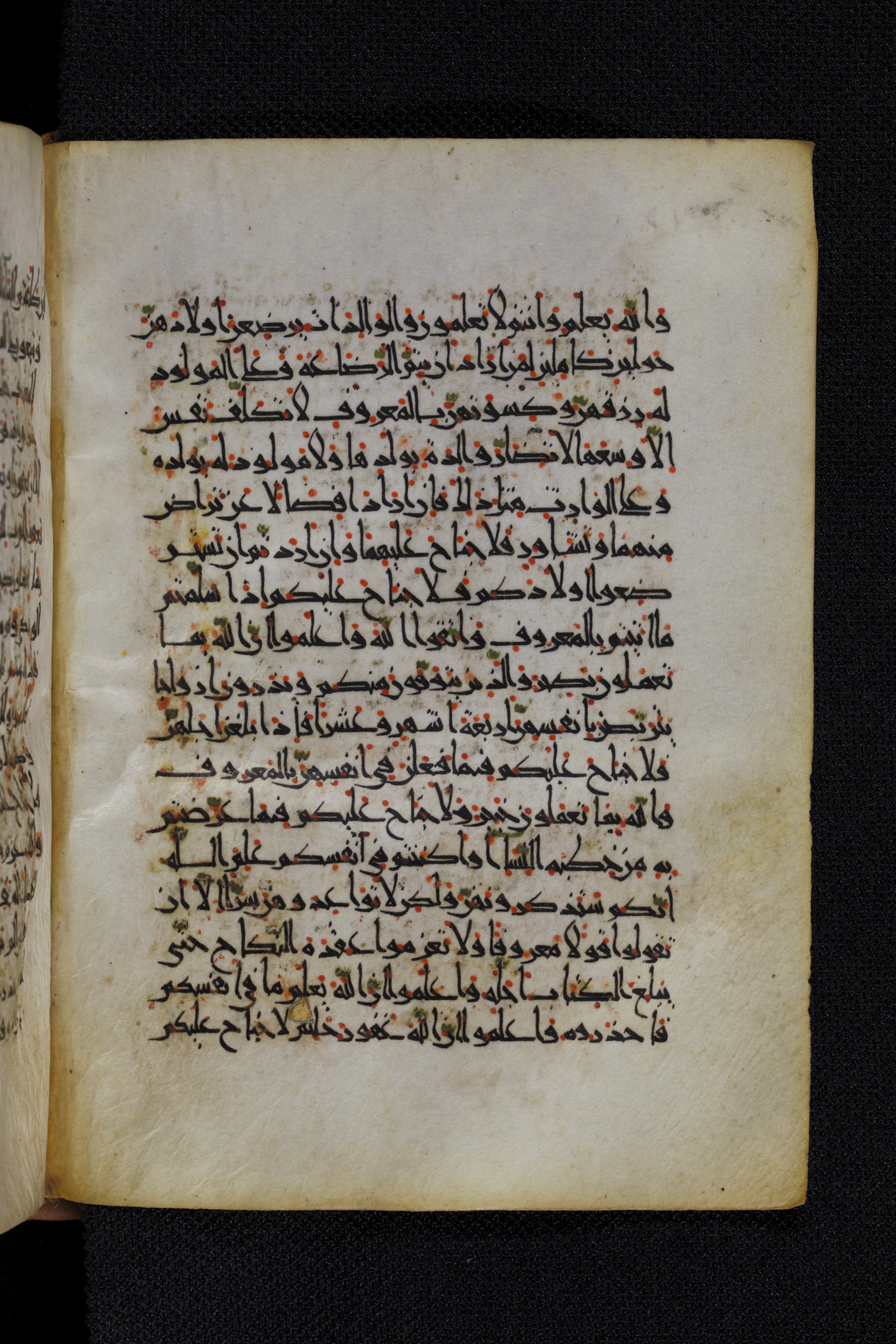 Diez A oct 172 (Scan 2), in Transitional Maghrebi script, showing Surah 2:232 from Late 9th to Mid 11th Century AD found in Unknown, currently housed at Staatsbibliothek zu Berlin, Berlin, Germany