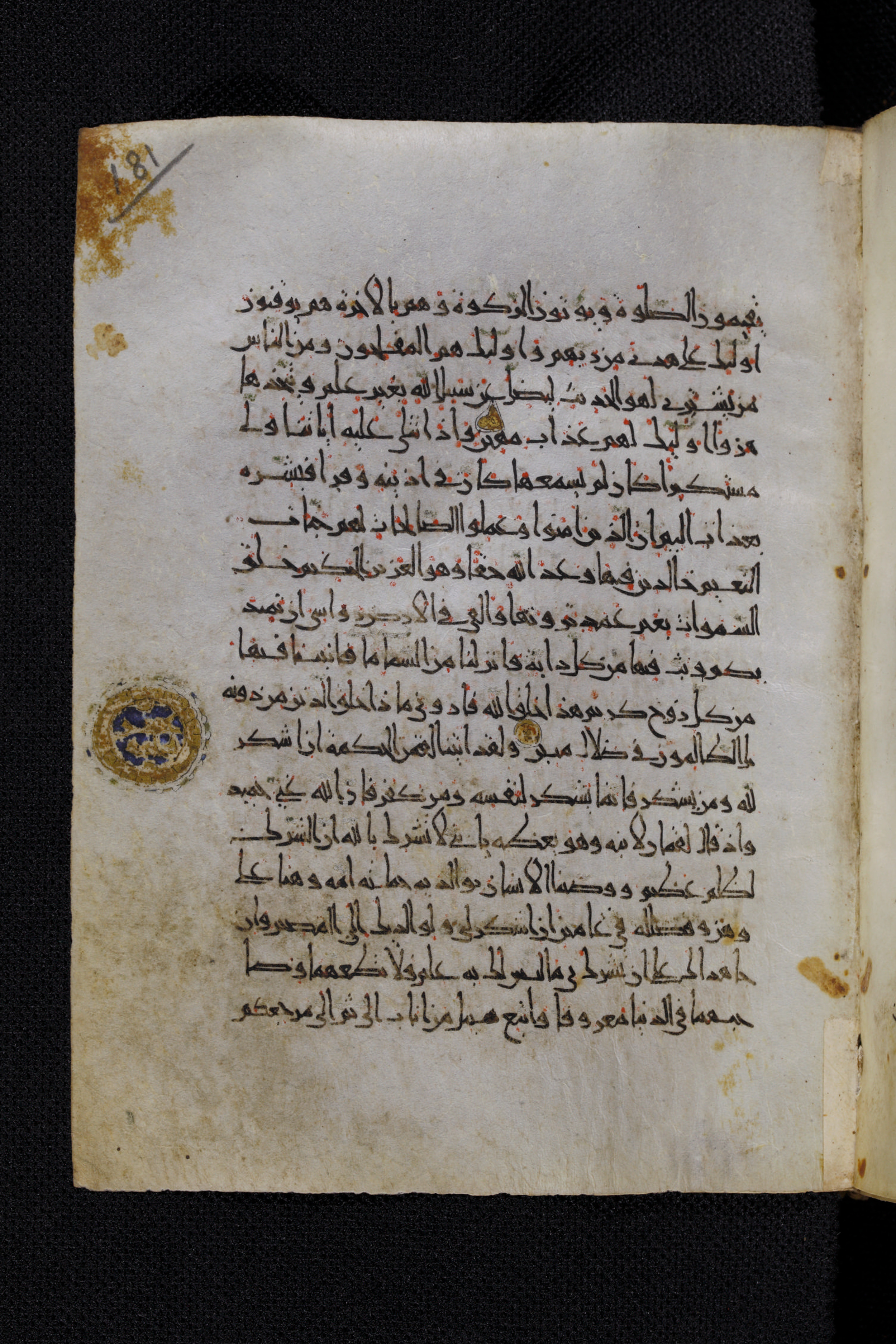 Diez A oct 172, in Transitional Maghrebi script, showing Surah 31:13 from Late 9th to Mid 11th Century AD found in Unknown, currently housed at Staatsbibliothek zu Berlin, Berlin, Germany