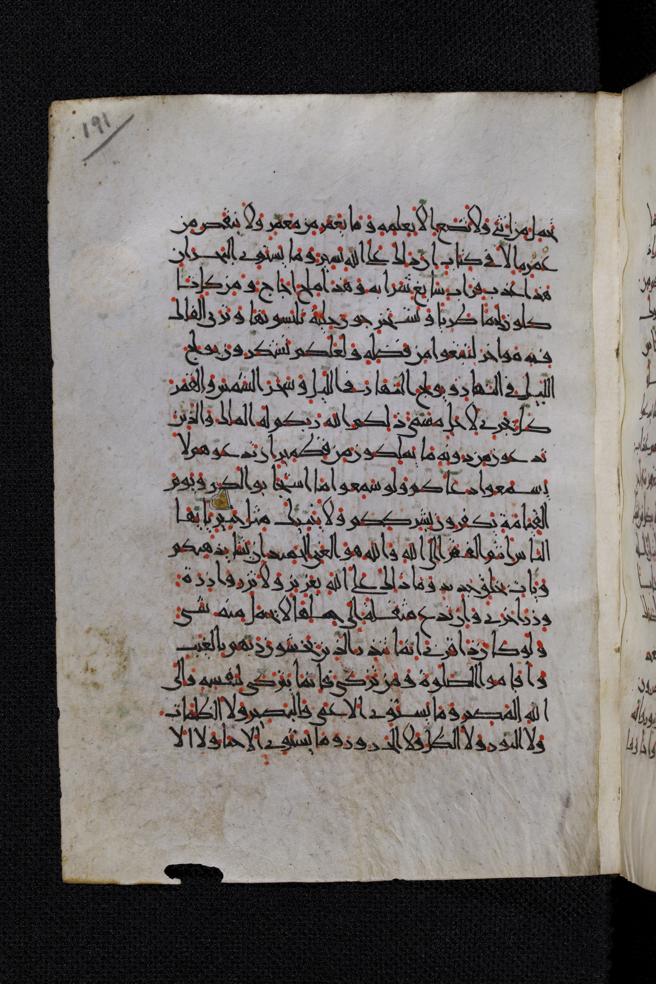 Diez A oct 172, in Transitional Maghrebi script, showing Surah 35:21 from Late 9th to Mid 11th Century AD found in Unknown, currently housed at Staatsbibliothek zu Berlin, Berlin, Germany
