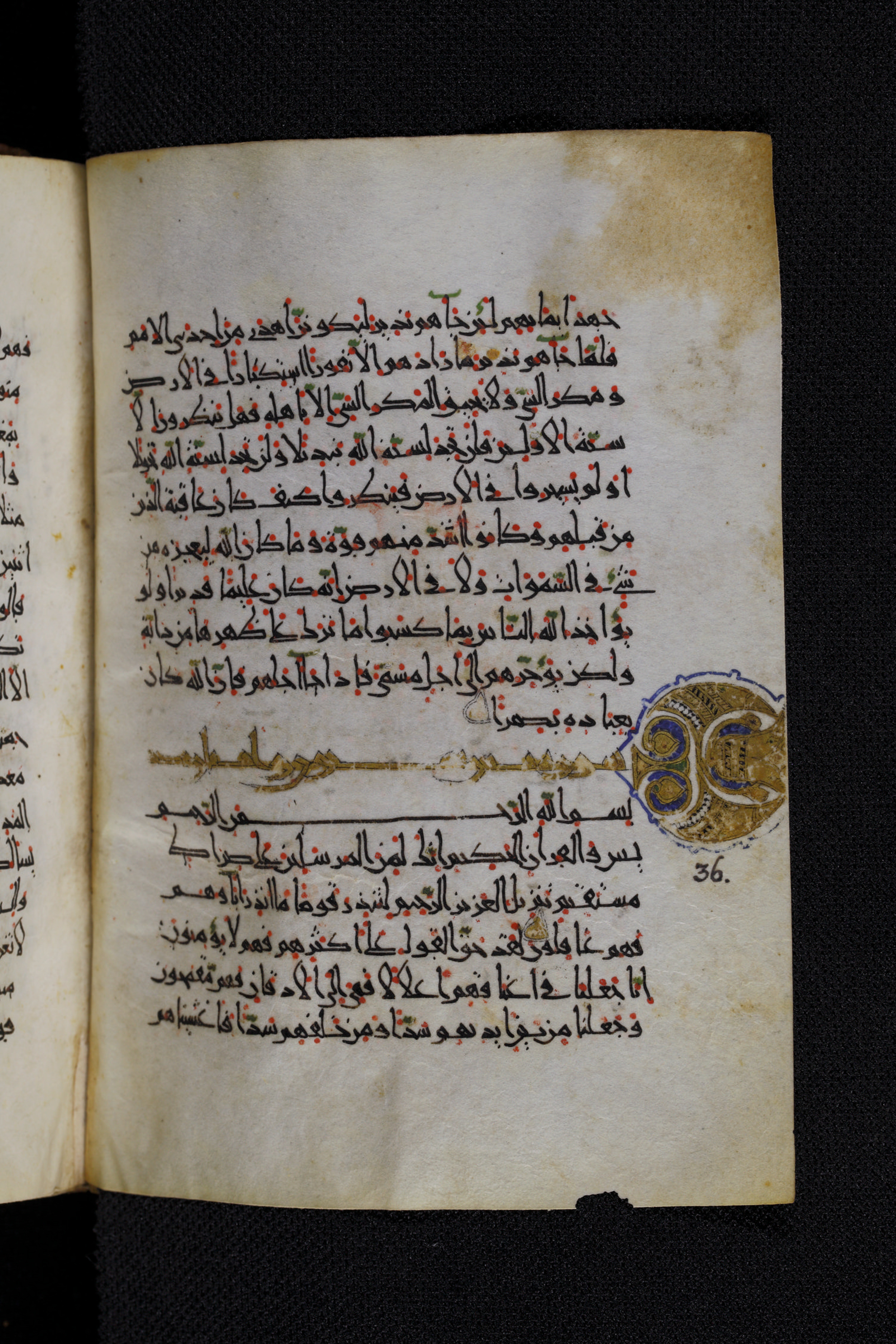 Diez A oct 172, in Transitional Maghrebi script, showing Surah 36:3 from Late 9th to Mid 11th Century AD found in Unknown, currently housed at Staatsbibliothek zu Berlin, Berlin, Germany