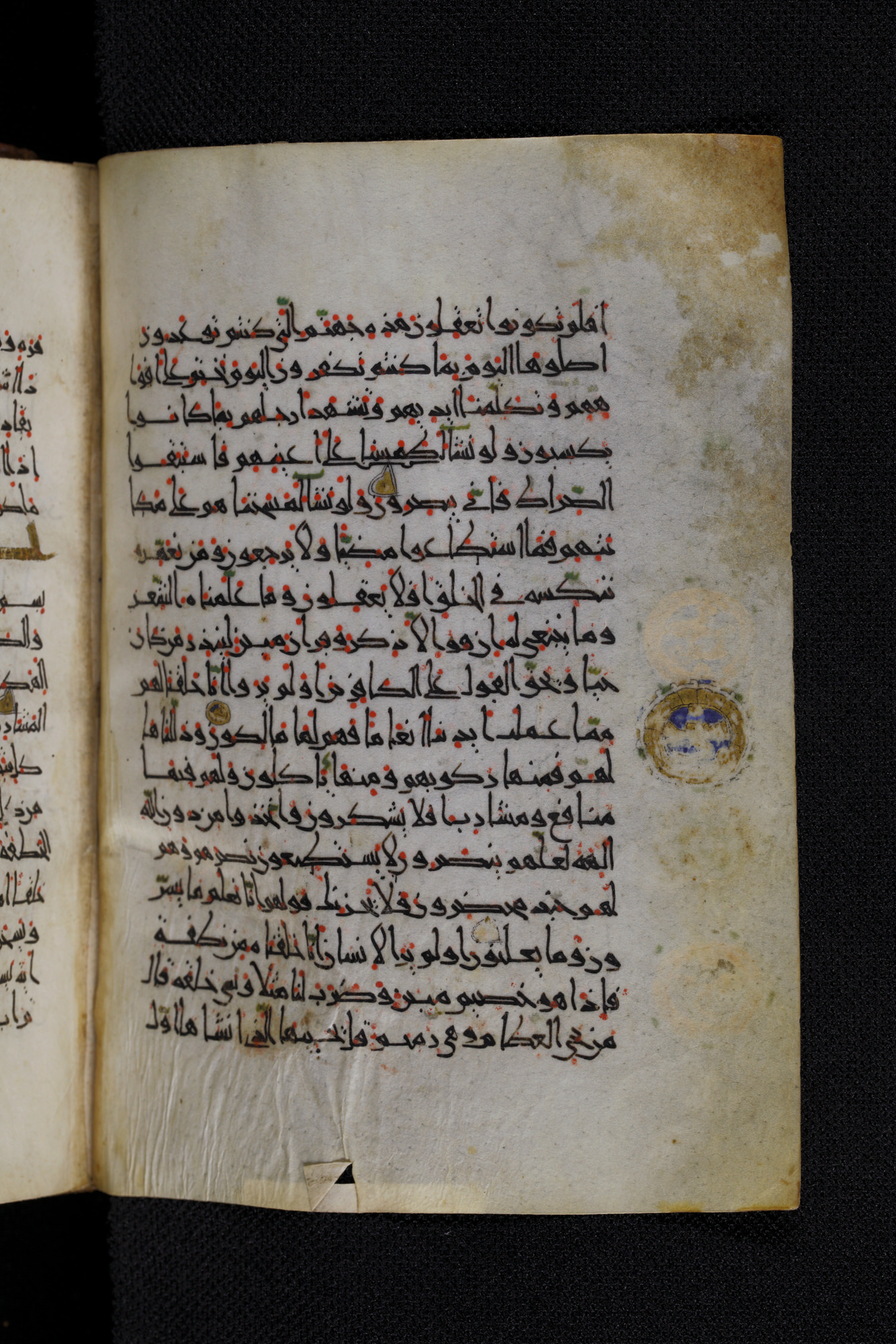 Diez A oct 172, in Transitional Maghrebi script, showing Surah 36:76 from Late 9th to Mid 11th Century AD found in Unknown, currently housed at Staatsbibliothek zu Berlin, Berlin, Germany