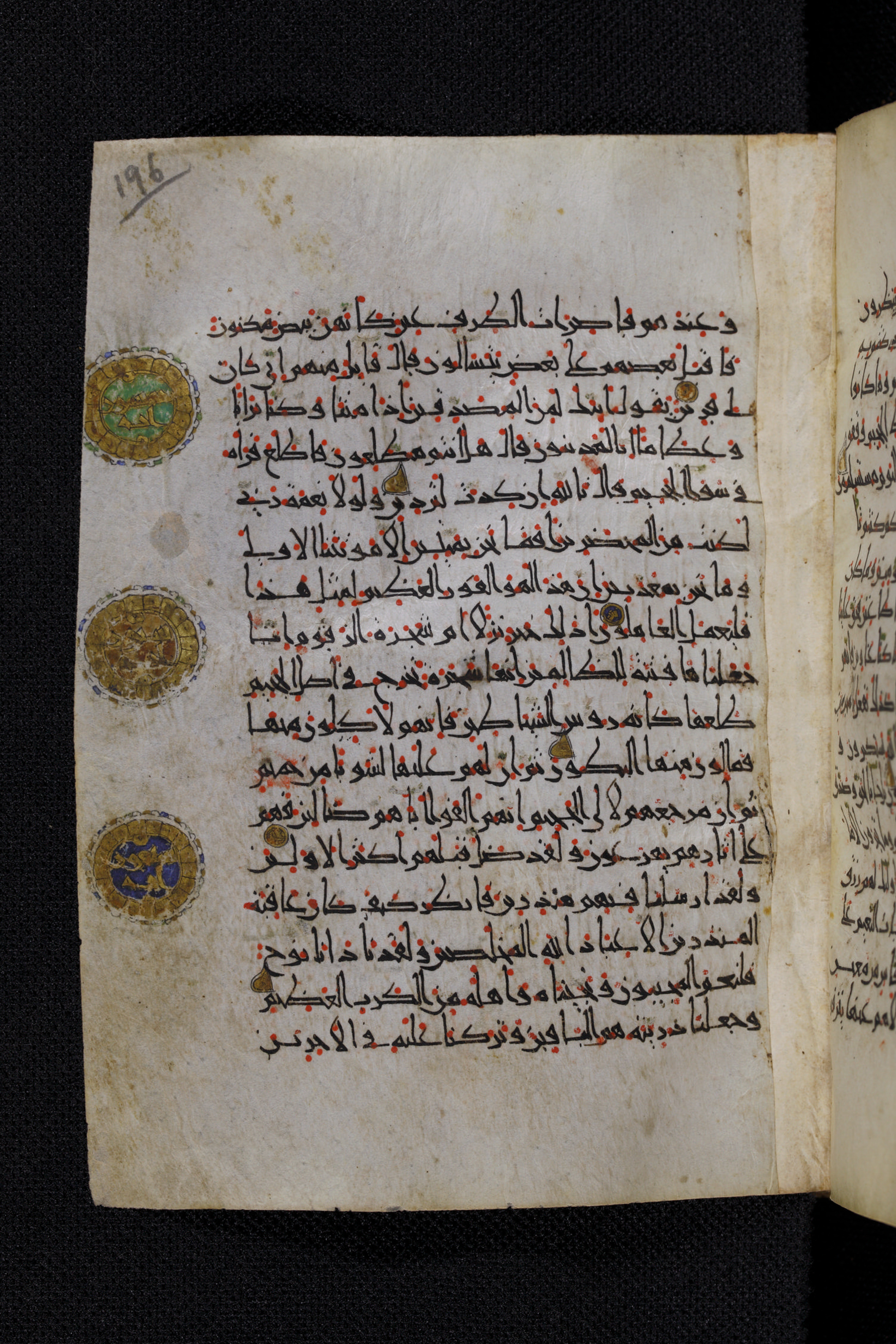 Diez A oct 172, in Transitional Maghrebi script, showing Surah 37:49 from Late 9th to Mid 11th Century AD found in Unknown, currently housed at Staatsbibliothek zu Berlin, Berlin, Germany