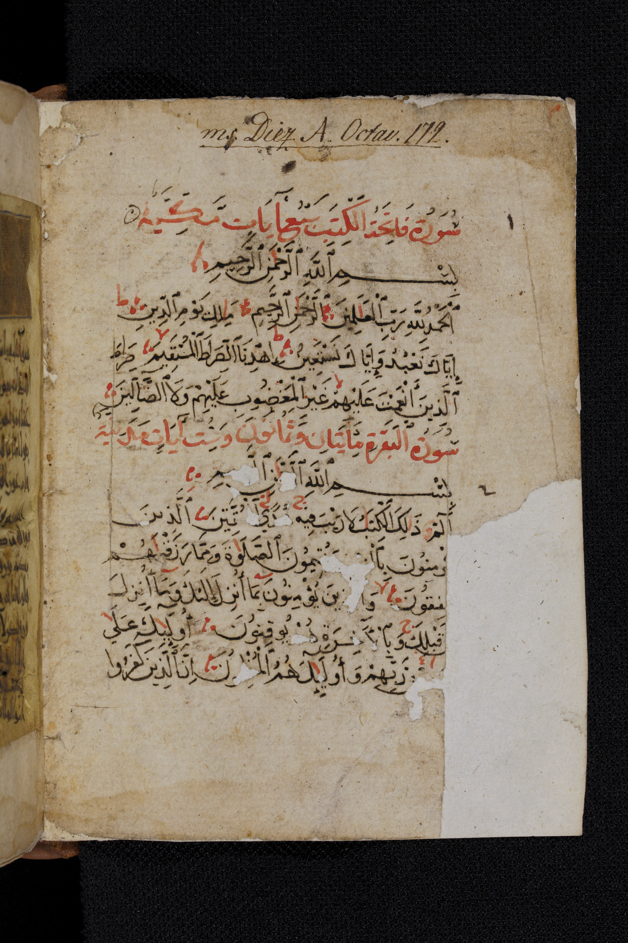 Diez A oct 172 (Scan 1), in Transitional Maghrebi script, showing Surah 2:6 from Late 9th to Mid 11th Century AD found in Unknown, currently housed at Staatsbibliothek zu Berlin, Berlin, Germany
