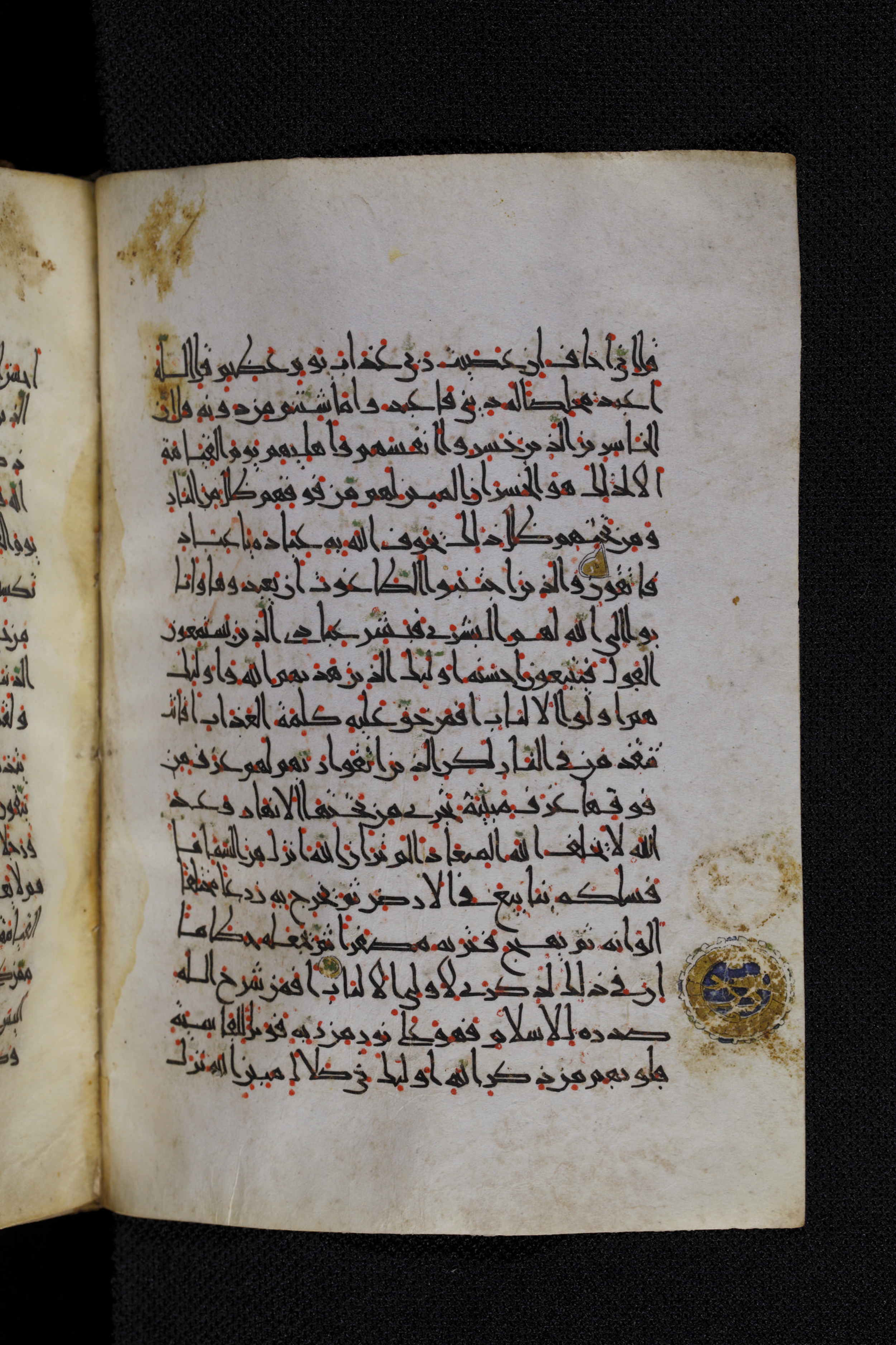 Diez A oct 172, in Transitional Maghrebi script, showing Surah 39:13 from Late 9th to Mid 11th Century AD found in Unknown, currently housed at Staatsbibliothek zu Berlin, Berlin, Germany
