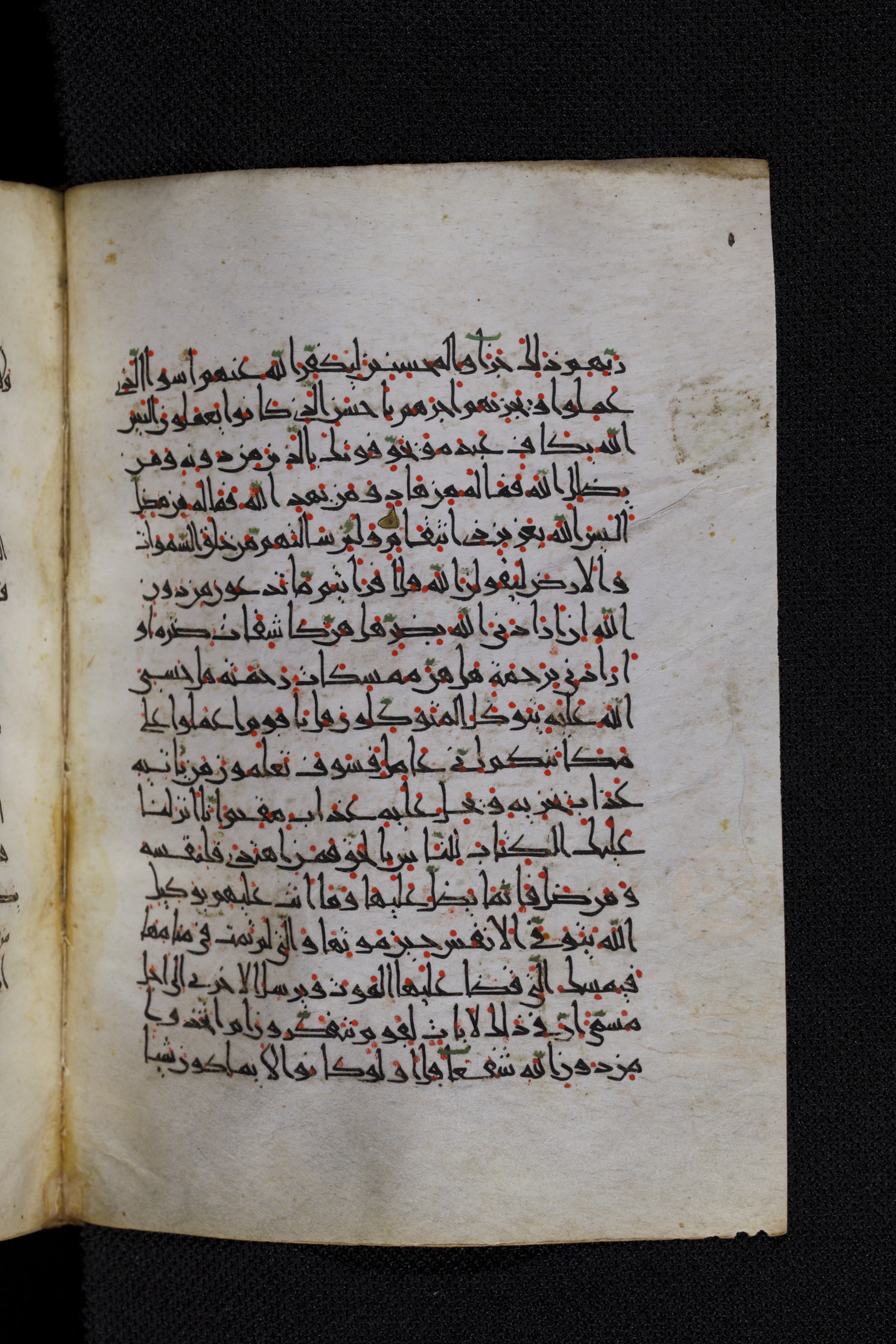 Diez A oct 172, in Transitional Maghrebi script, showing Surah 39:41 from Late 9th to Mid 11th Century AD found in Unknown, currently housed at Staatsbibliothek zu Berlin, Berlin, Germany