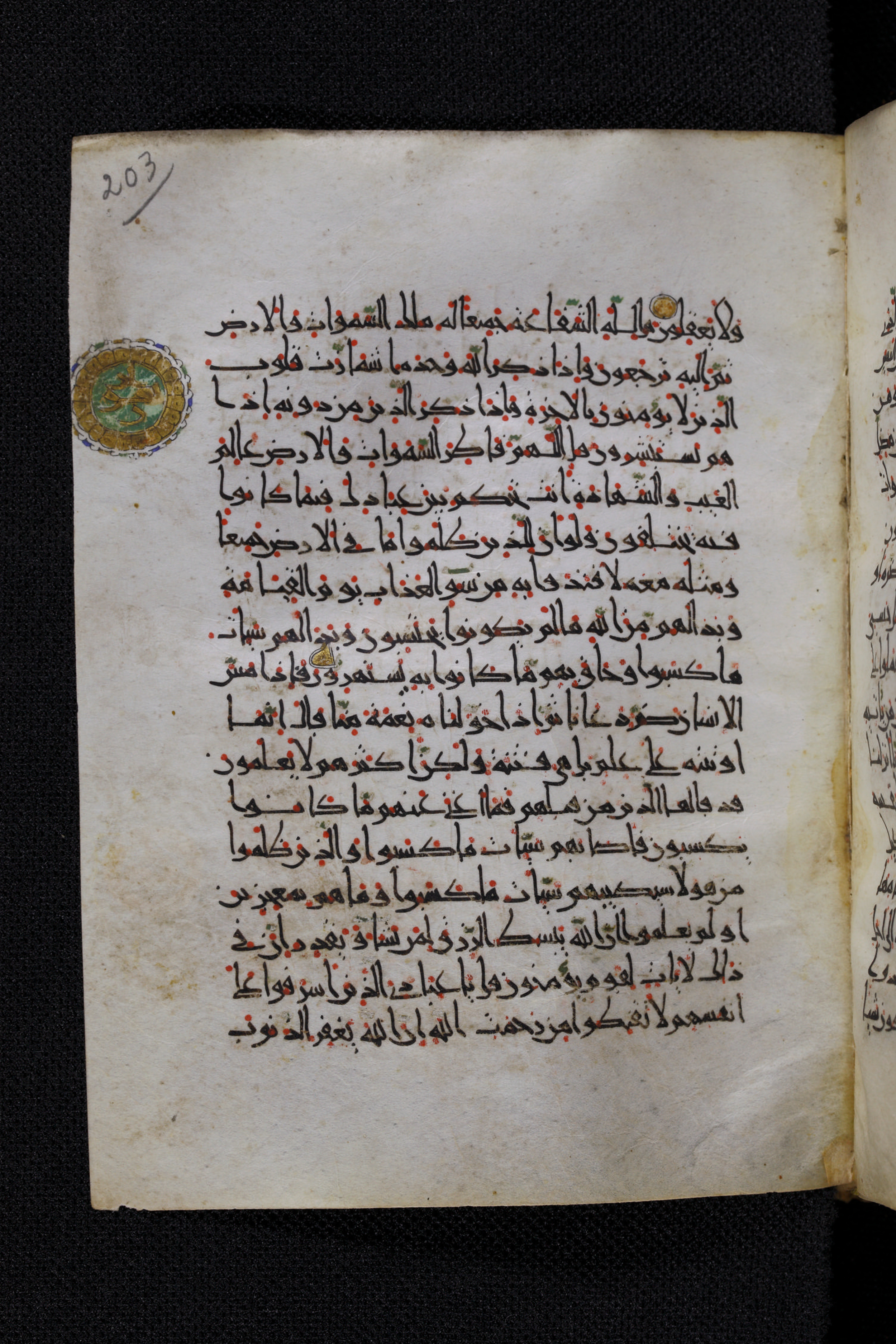 Diez A oct 172, in Transitional Maghrebi script, showing Surah 39:49 from Late 9th to Mid 11th Century AD found in Unknown, currently housed at Staatsbibliothek zu Berlin, Berlin, Germany