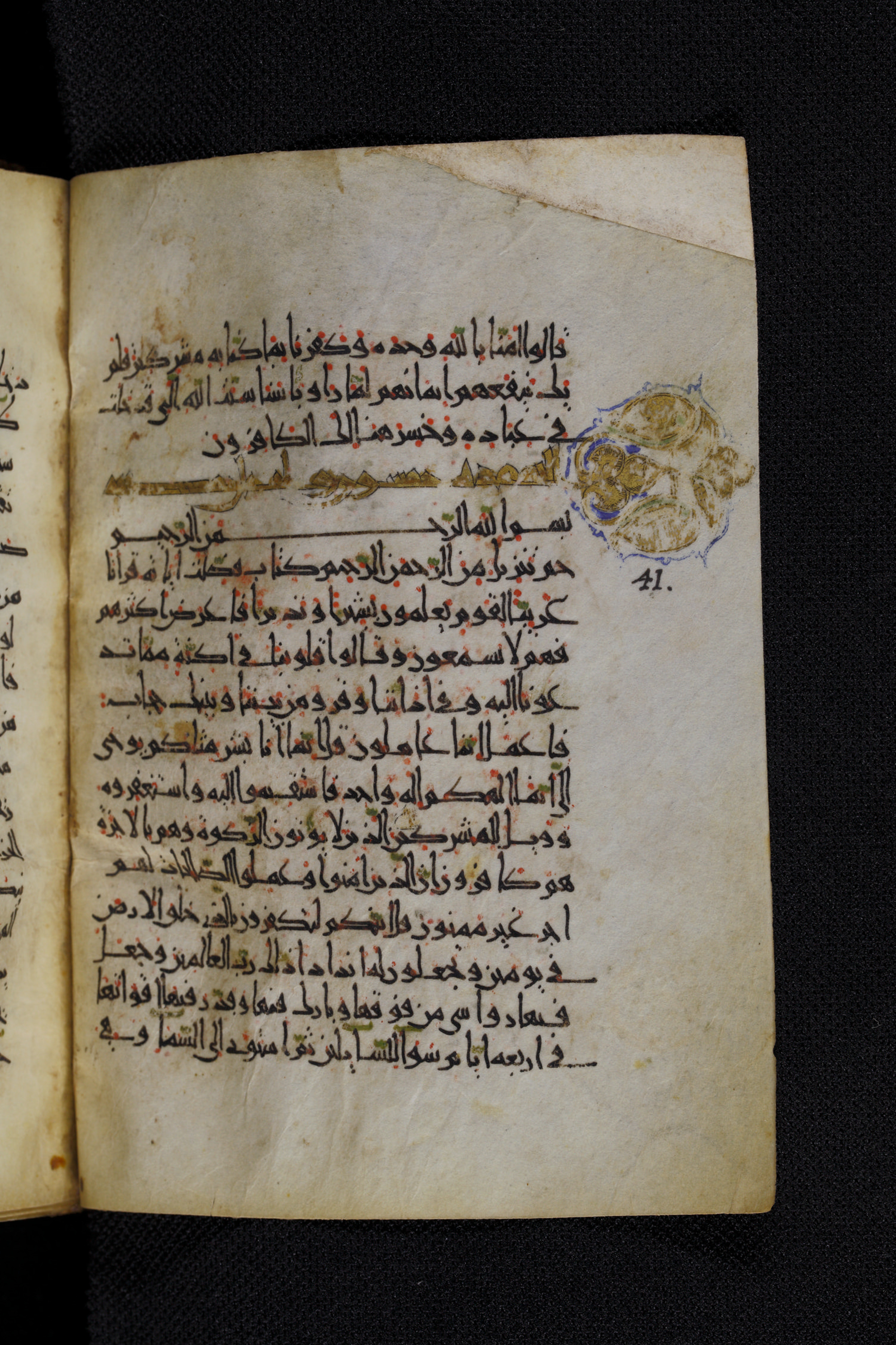 Diez A oct 172, in Transitional Maghrebi script, showing Surah 41:2 from Late 9th to Mid 11th Century AD found in Unknown, currently housed at Staatsbibliothek zu Berlin, Berlin, Germany