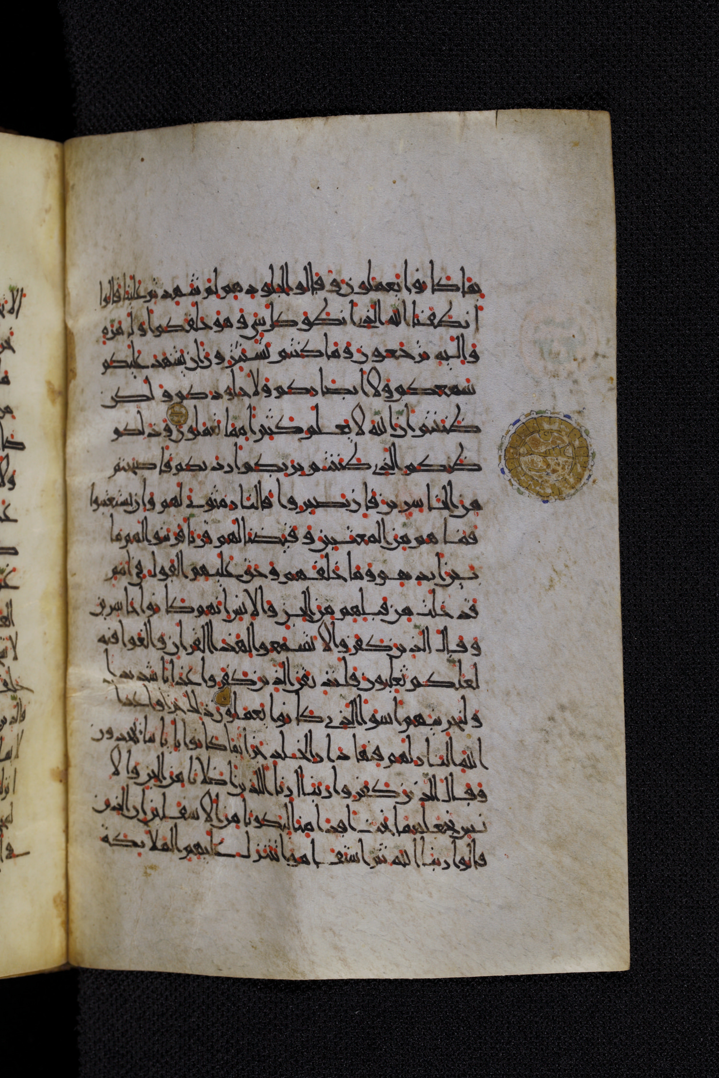 Diez A oct 172, in Transitional Maghrebi script, showing Surah 41:21 from Late 9th to Mid 11th Century AD found in Unknown, currently housed at Staatsbibliothek zu Berlin, Berlin, Germany