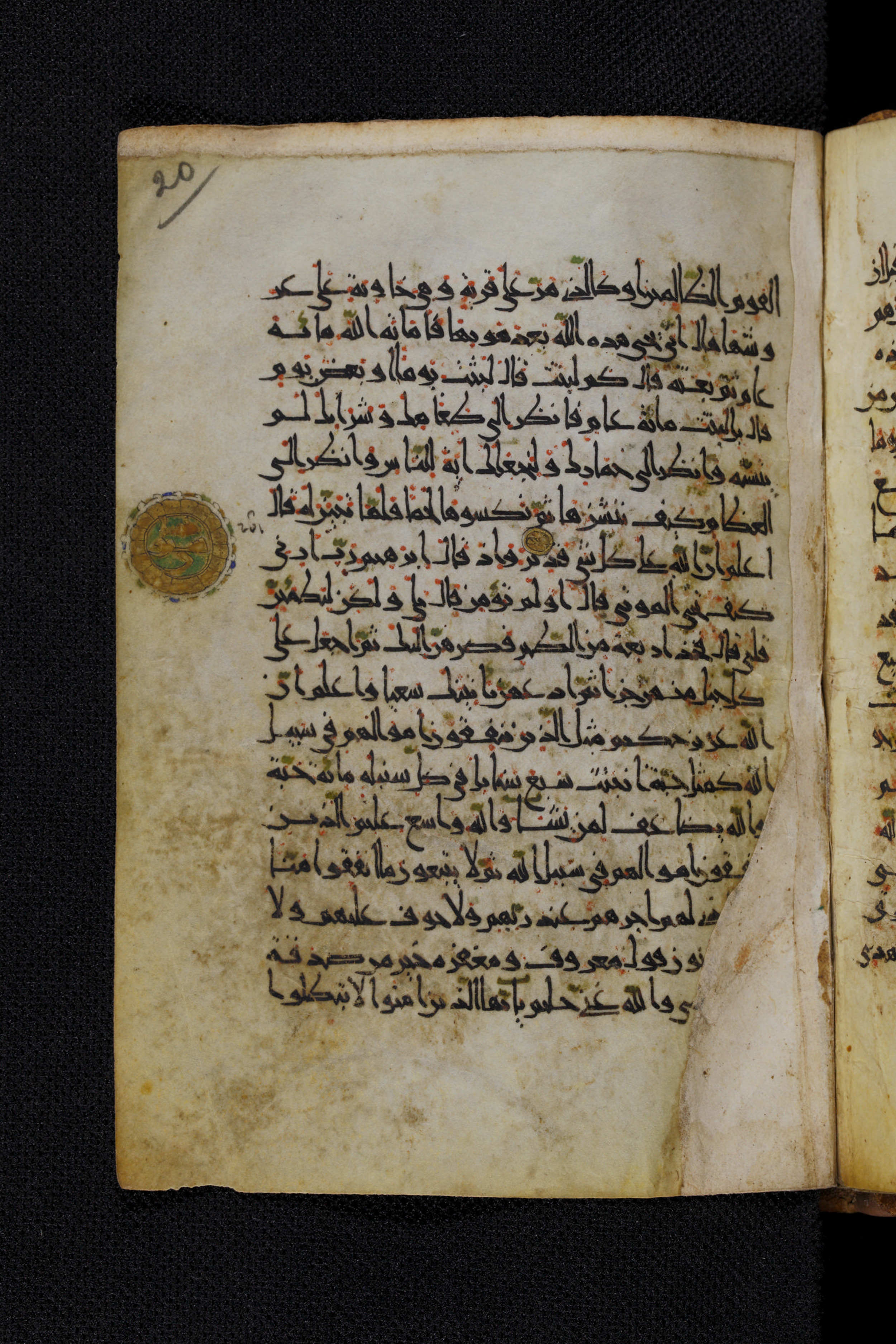Diez A oct 172 (Scan 1), in Transitional Maghrebi script, showing Surah 2:264 from Late 9th to Mid 11th Century AD found in Unknown, currently housed at Staatsbibliothek zu Berlin, Berlin, Germany
