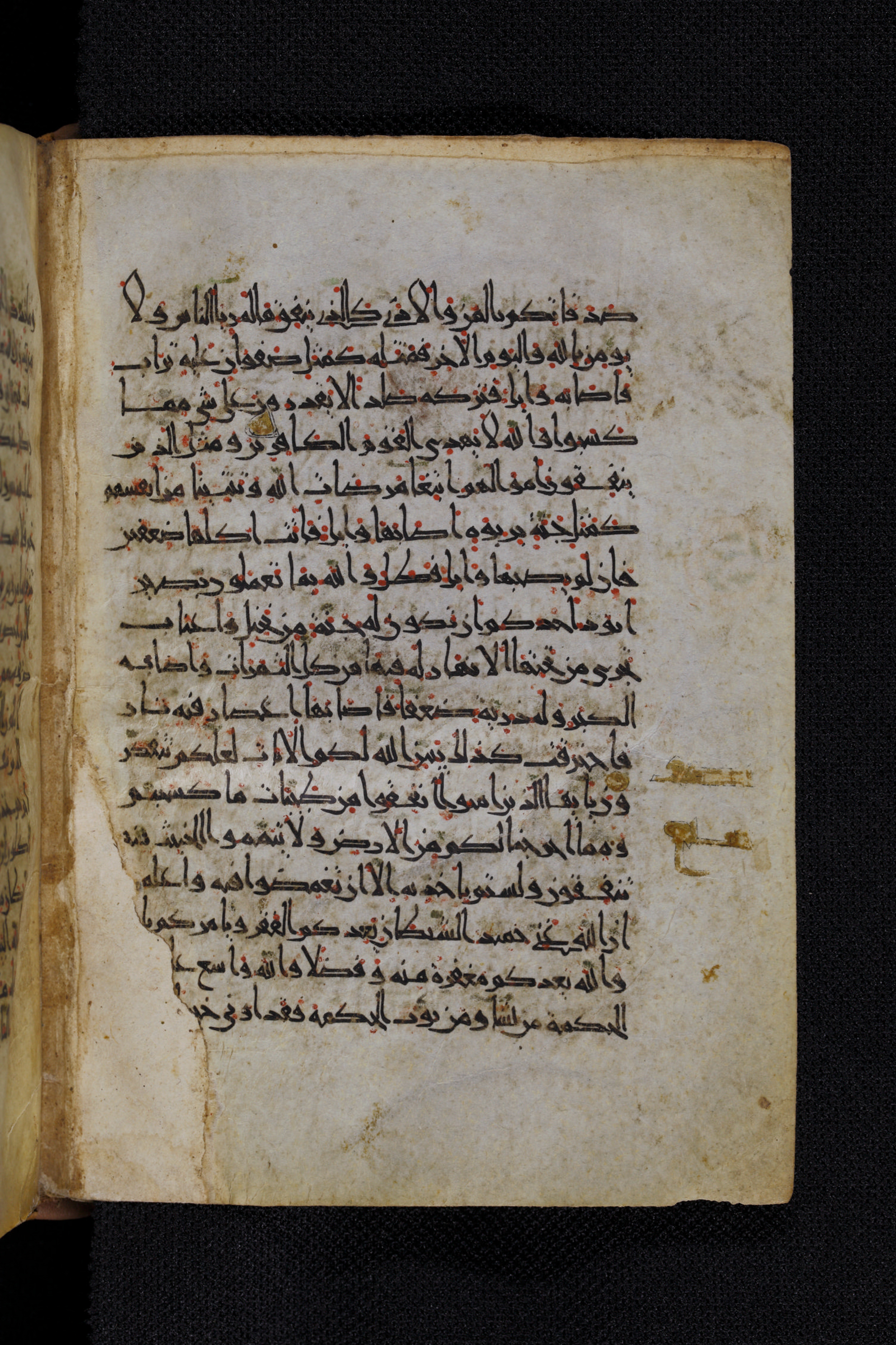 Diez A oct 172 (Scan 2), in Transitional Maghrebi script, showing Surah 2:264 from Late 9th to Mid 11th Century AD found in Unknown, currently housed at Staatsbibliothek zu Berlin, Berlin, Germany