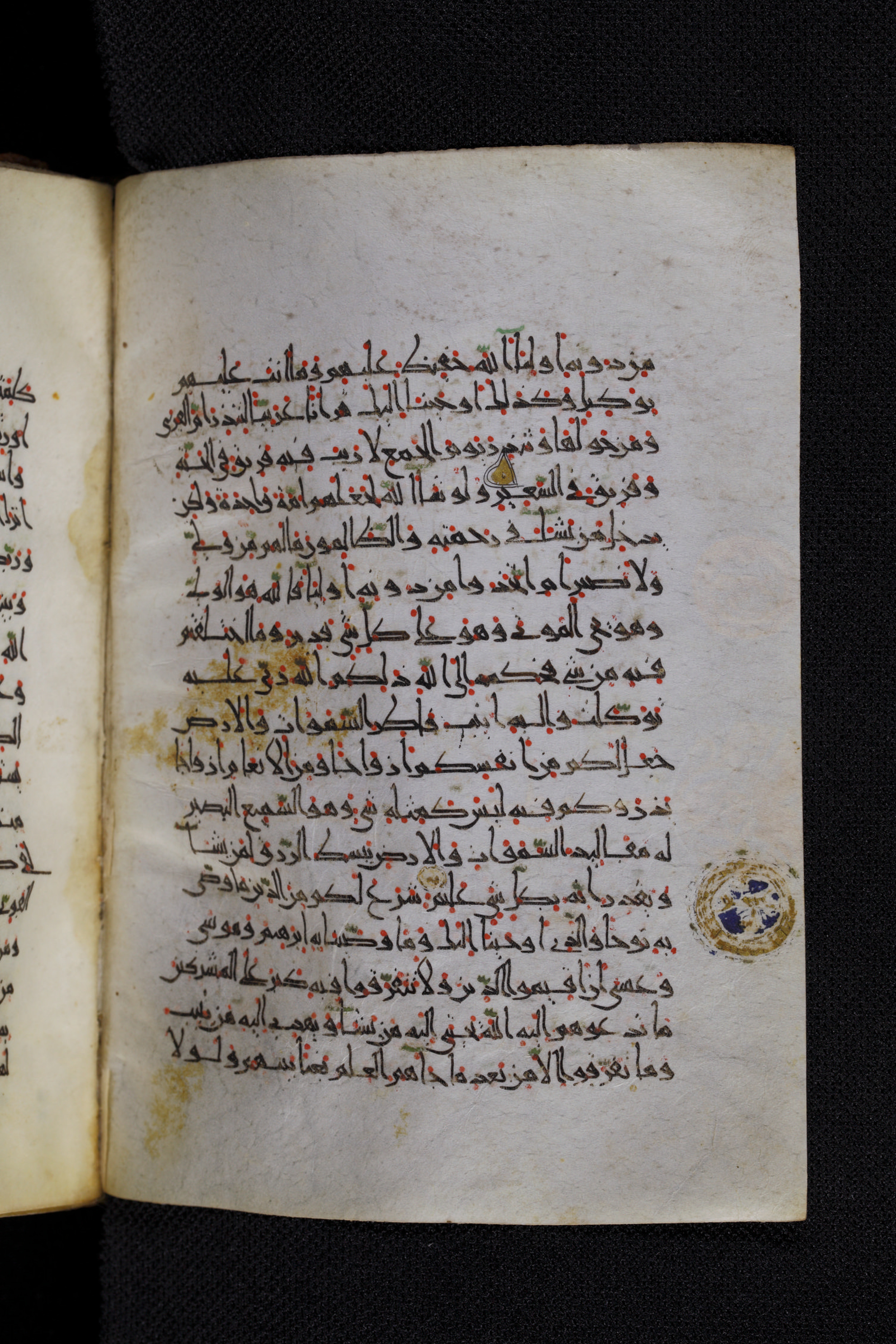 Diez A oct 172, in Transitional Maghrebi script, showing Surah 42:8 from Late 9th to Mid 11th Century AD found in Unknown, currently housed at Staatsbibliothek zu Berlin, Berlin, Germany