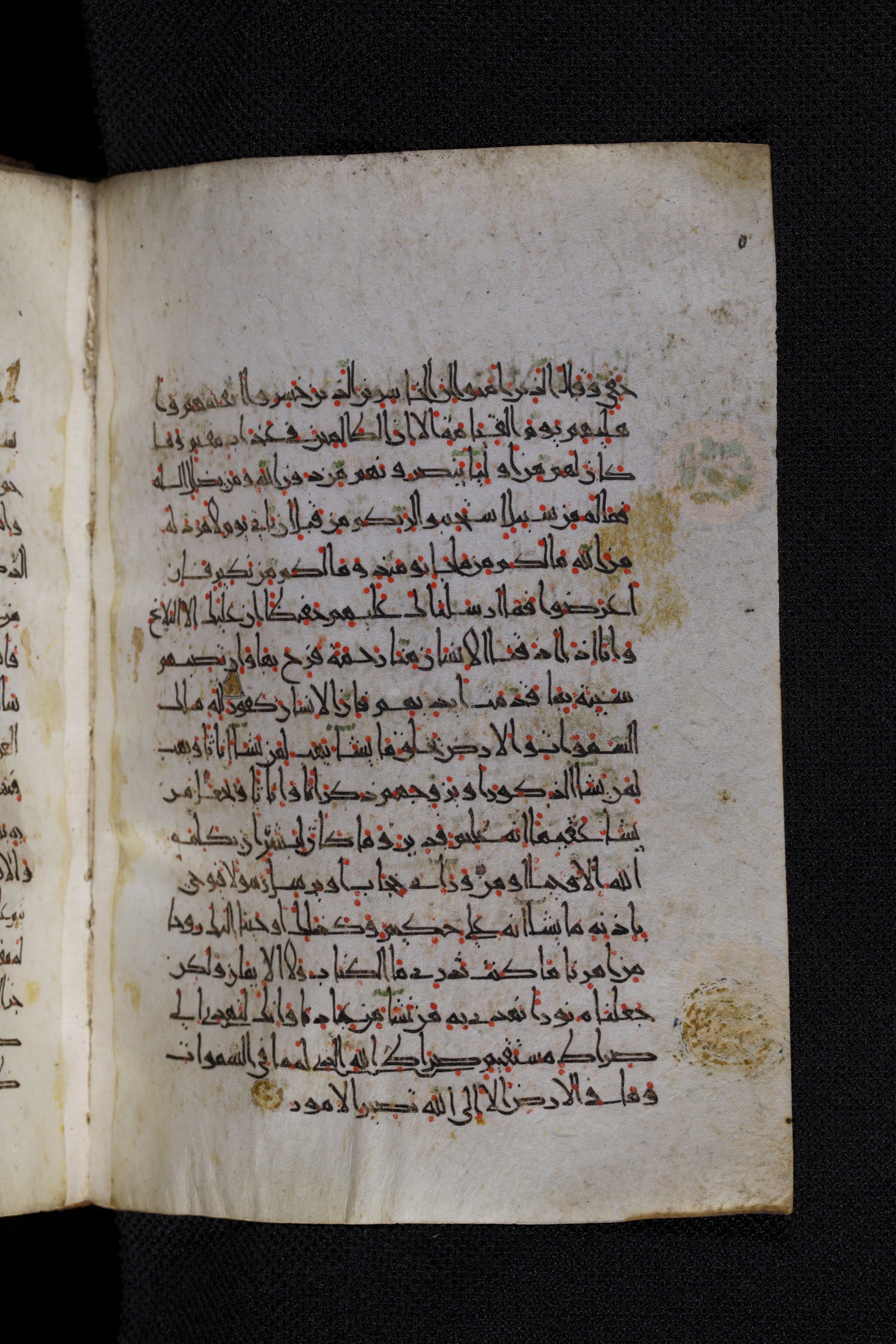 Diez A oct 172, in Transitional Maghrebi script, showing Surah 42:49 from Late 9th to Mid 11th Century AD found in Unknown, currently housed at Staatsbibliothek zu Berlin, Berlin, Germany