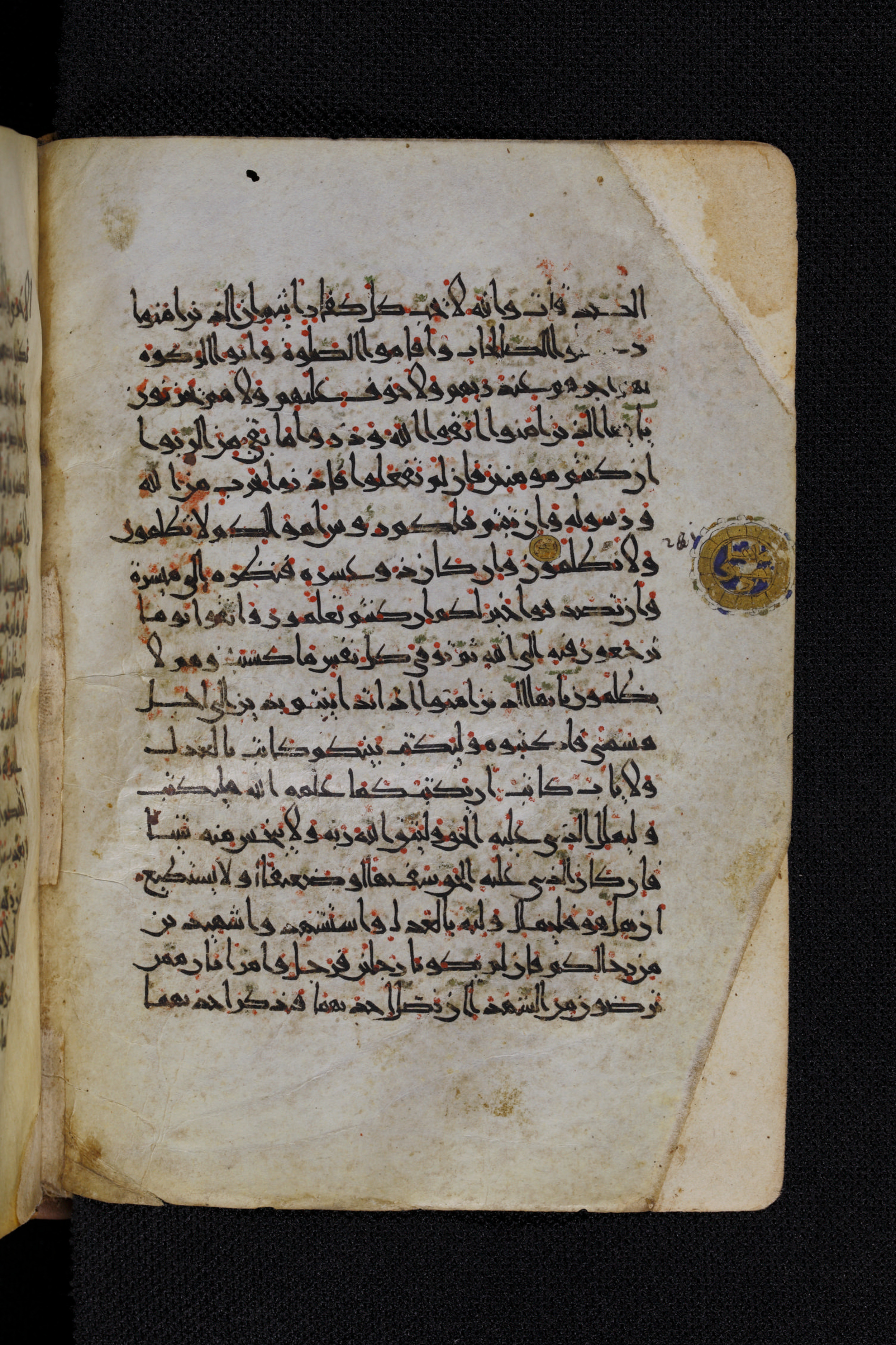 Diez A oct 172, in Transitional Maghrebi script, showing Surah 2:281 from Late 9th to Mid 11th Century AD found in Unknown, currently housed at Staatsbibliothek zu Berlin, Berlin, Germany