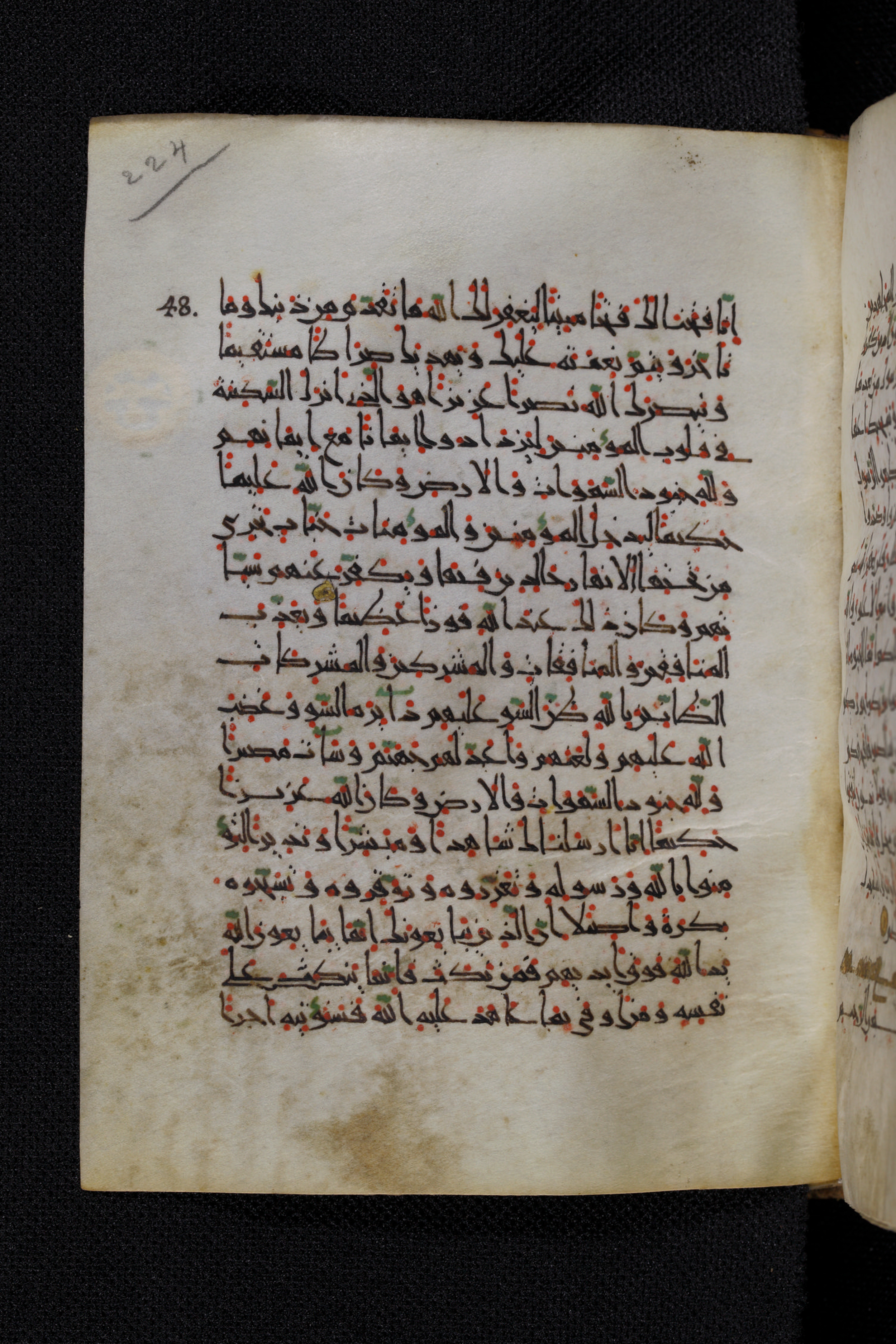 Diez A oct 172, in Transitional Maghrebi script, showing Surah 48:3 from Late 9th to Mid 11th Century AD found in Unknown, currently housed at Staatsbibliothek zu Berlin, Berlin, Germany