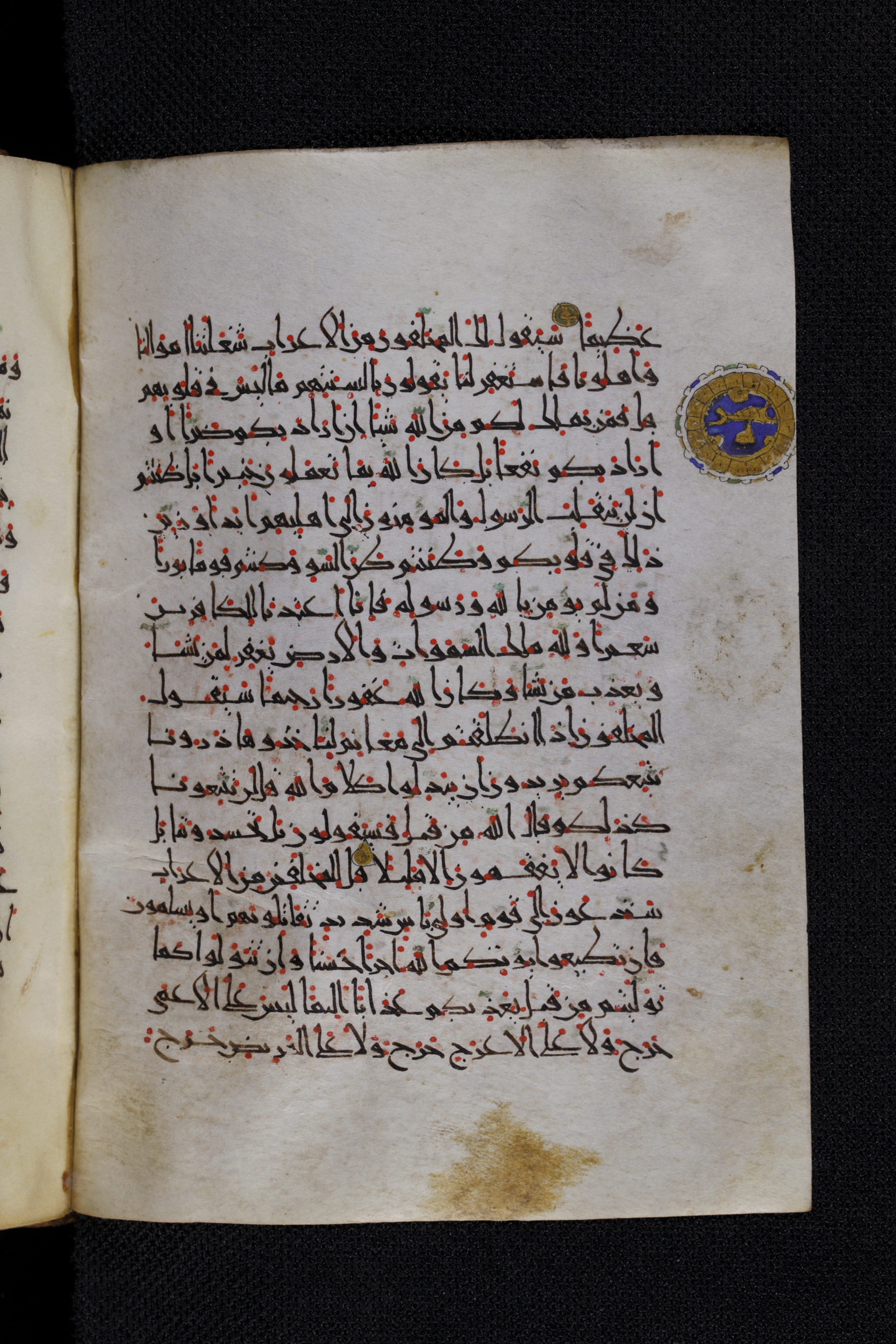 Diez A oct 172, in Transitional Maghrebi script, showing Surah 48:12 from Late 9th to Mid 11th Century AD found in Unknown, currently housed at Staatsbibliothek zu Berlin, Berlin, Germany