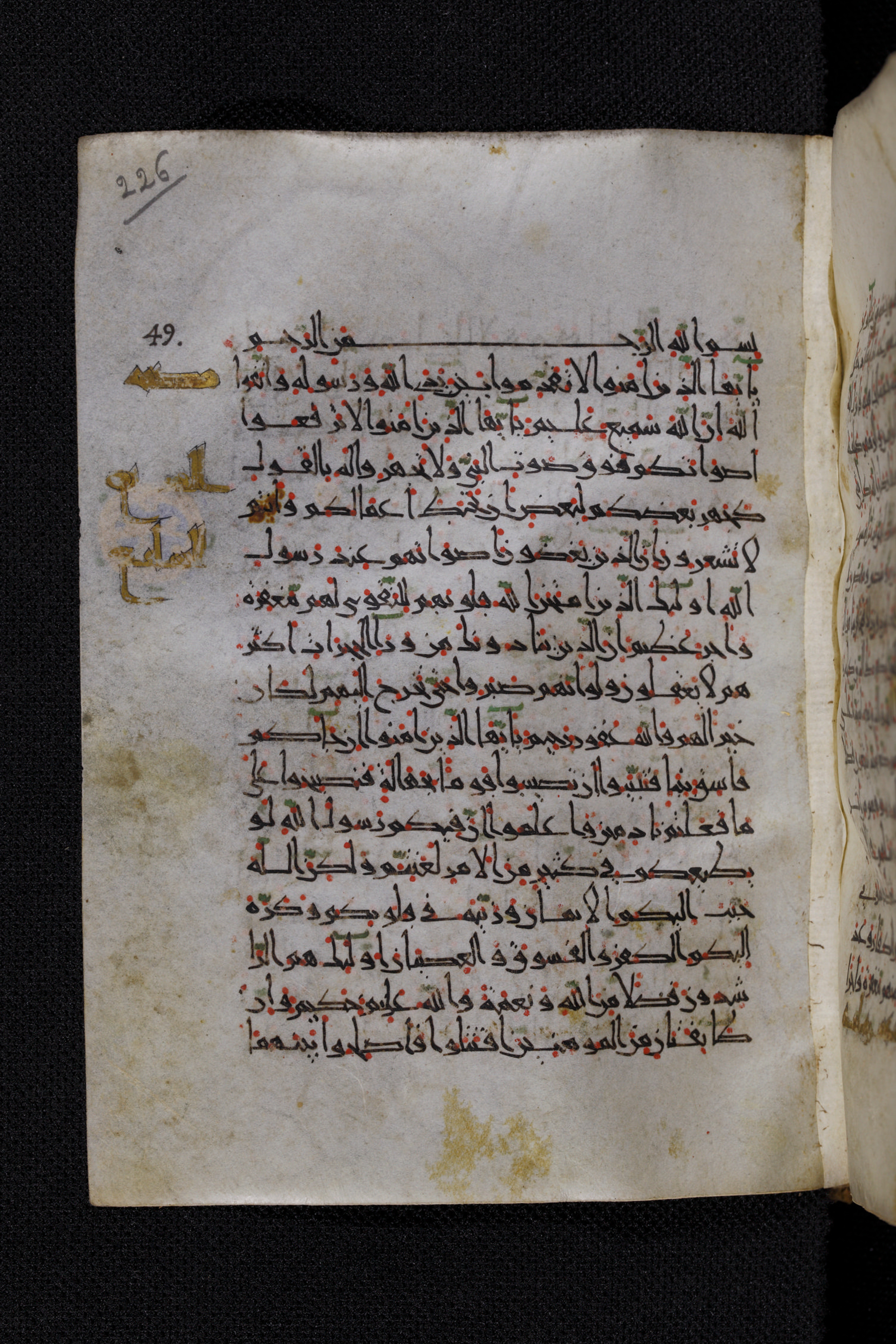 Diez A oct 172, in Transitional Maghrebi script, showing Surah 49:2 from Late 9th to Mid 11th Century AD found in Unknown, currently housed at Staatsbibliothek zu Berlin, Berlin, Germany