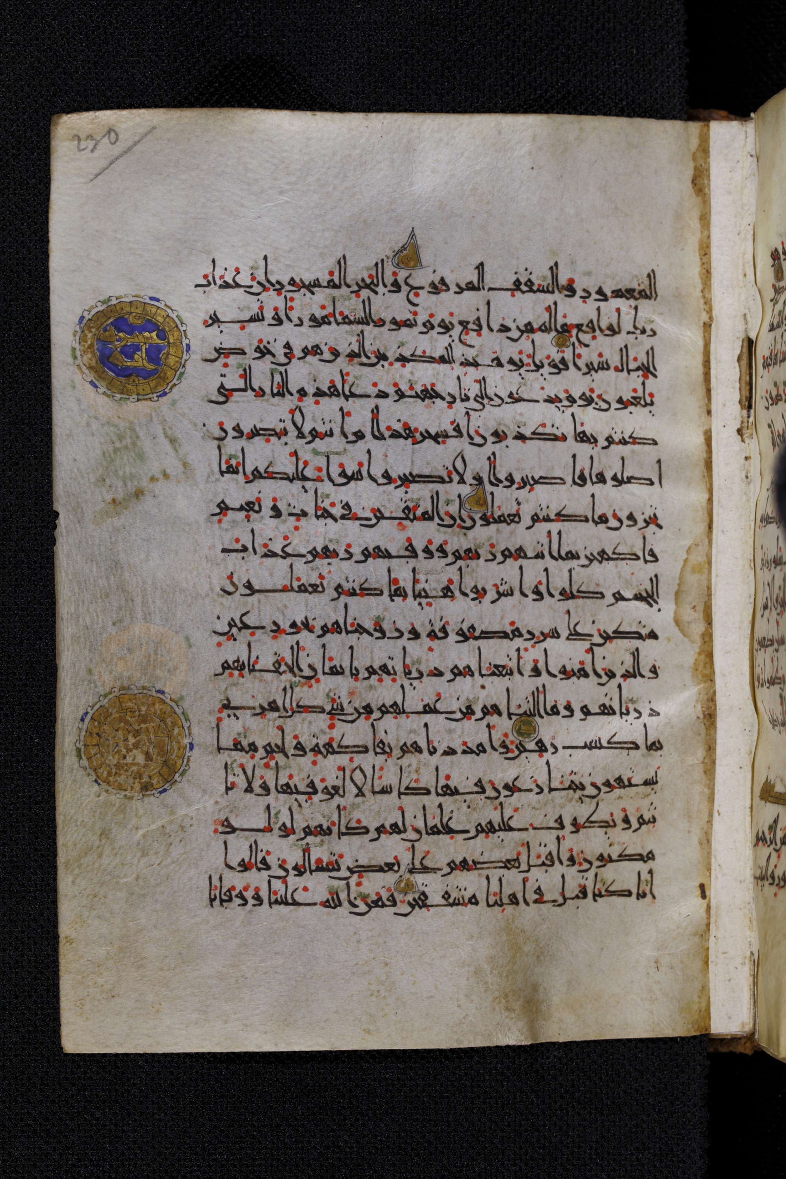 Diez A oct 172, in Transitional Maghrebi script, showing Surah 52:21 from Late 9th to Mid 11th Century AD found in Unknown, currently housed at Staatsbibliothek zu Berlin, Berlin, Germany