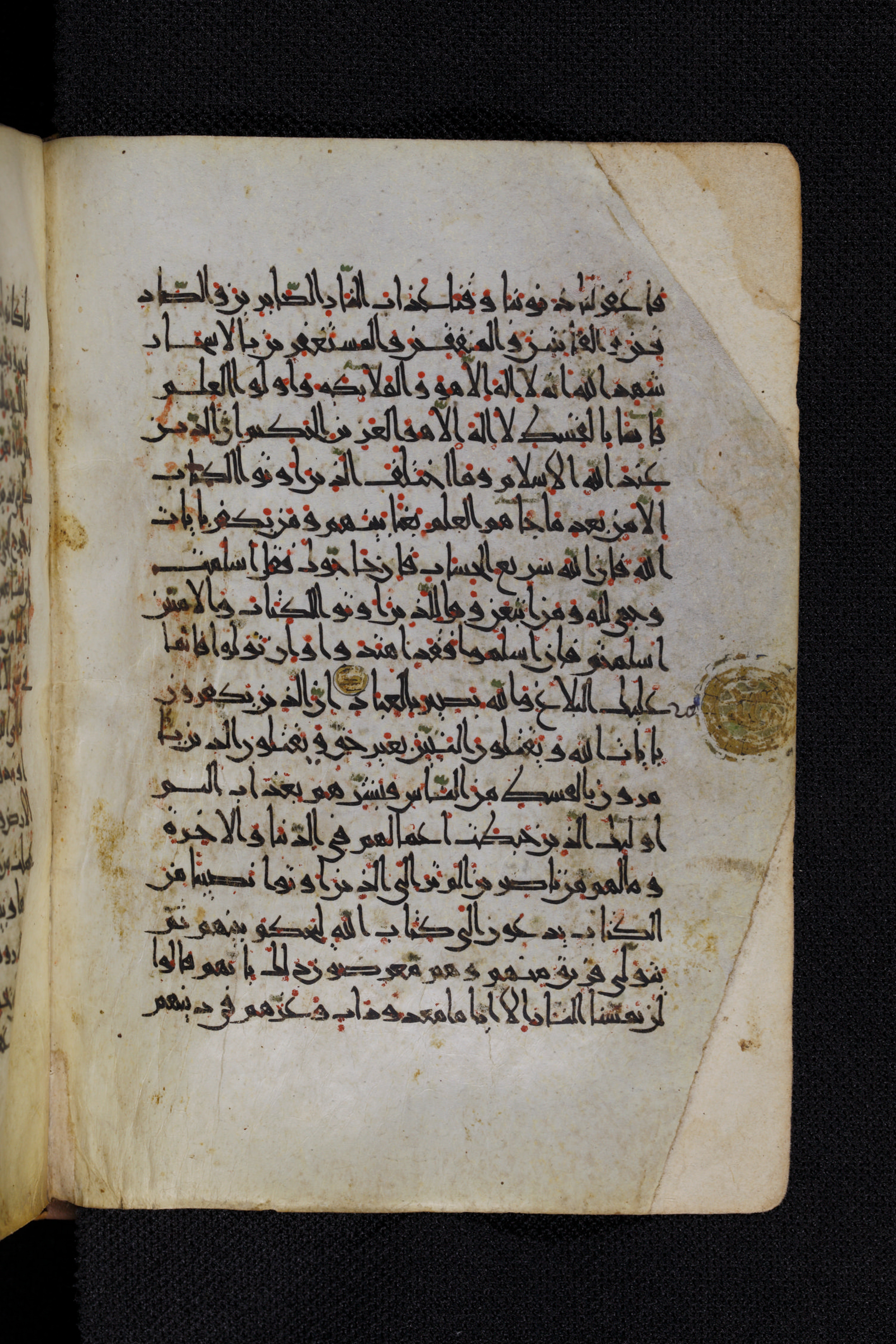 Diez A oct 172, in Transitional Maghrebi script, showing Surah 3:21 from Late 9th to Mid 11th Century AD found in Unknown, currently housed at Staatsbibliothek zu Berlin, Berlin, Germany