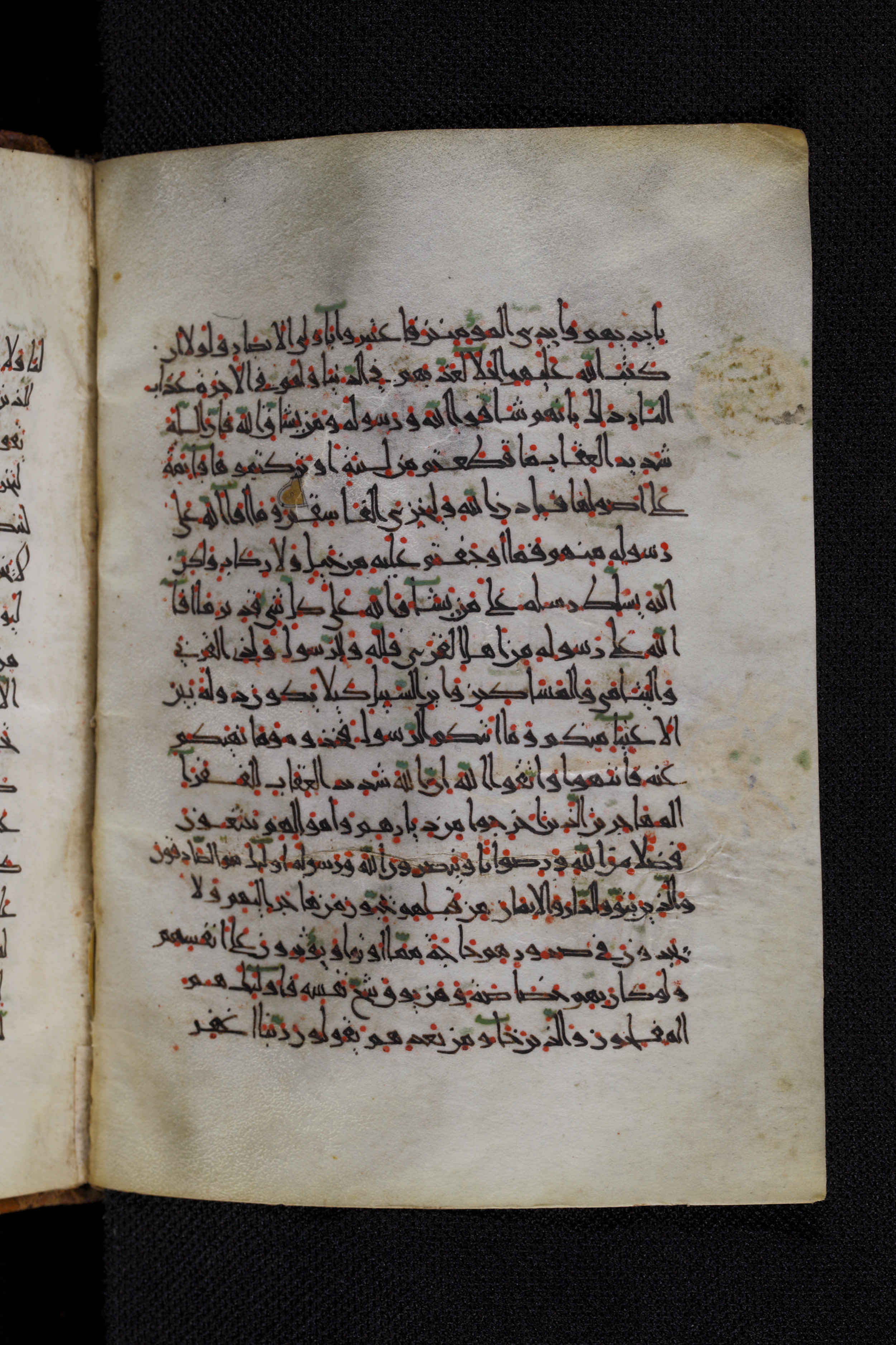 Diez A oct 172, in Transitional Maghrebi script, showing Surah 59:3 from Late 9th to Mid 11th Century AD found in Unknown, currently housed at Staatsbibliothek zu Berlin, Berlin, Germany