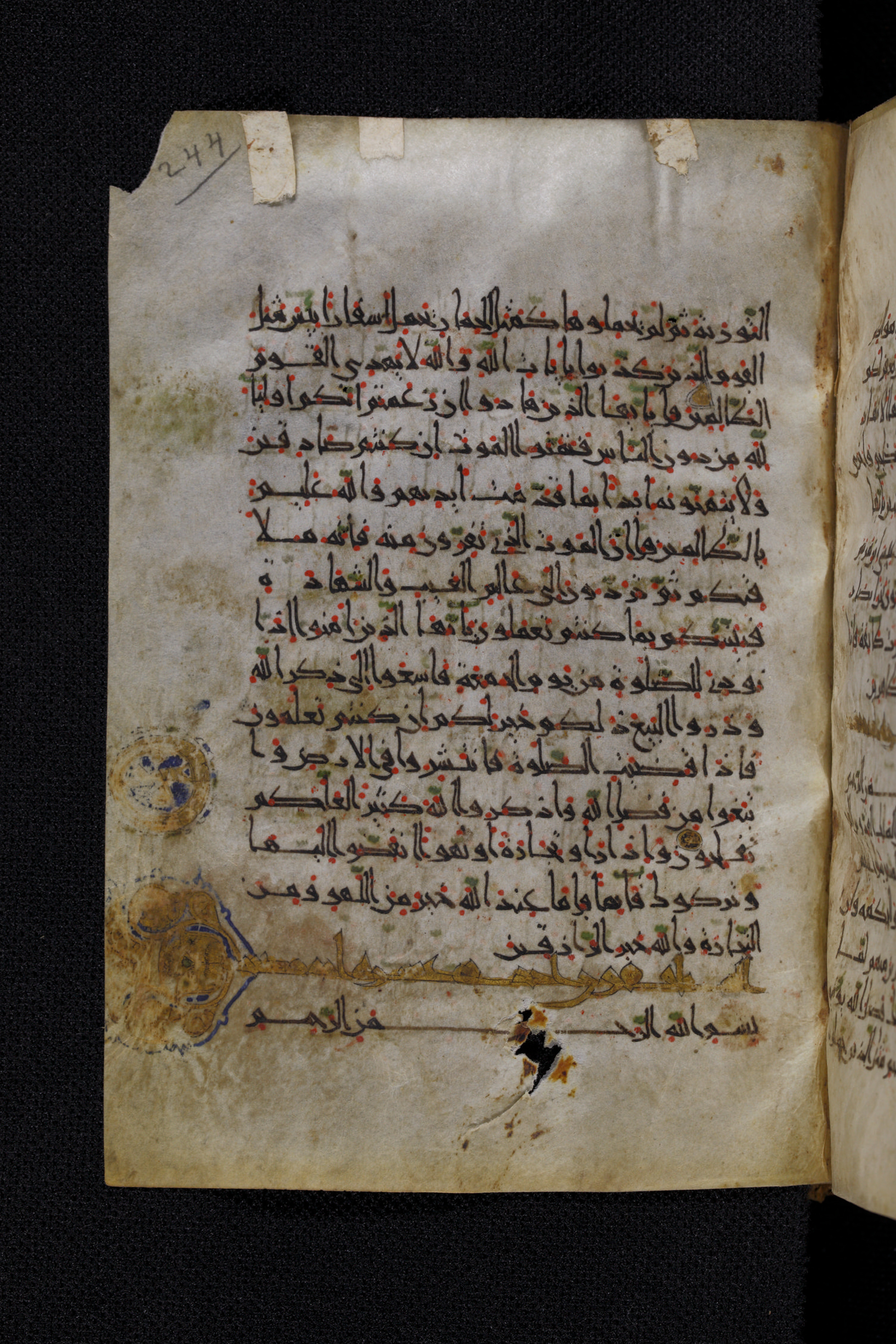 Diez A oct 172, in Transitional Maghrebi script, showing Surah 62:7 from Late 9th to Mid 11th Century AD found in Unknown, currently housed at Staatsbibliothek zu Berlin, Berlin, Germany