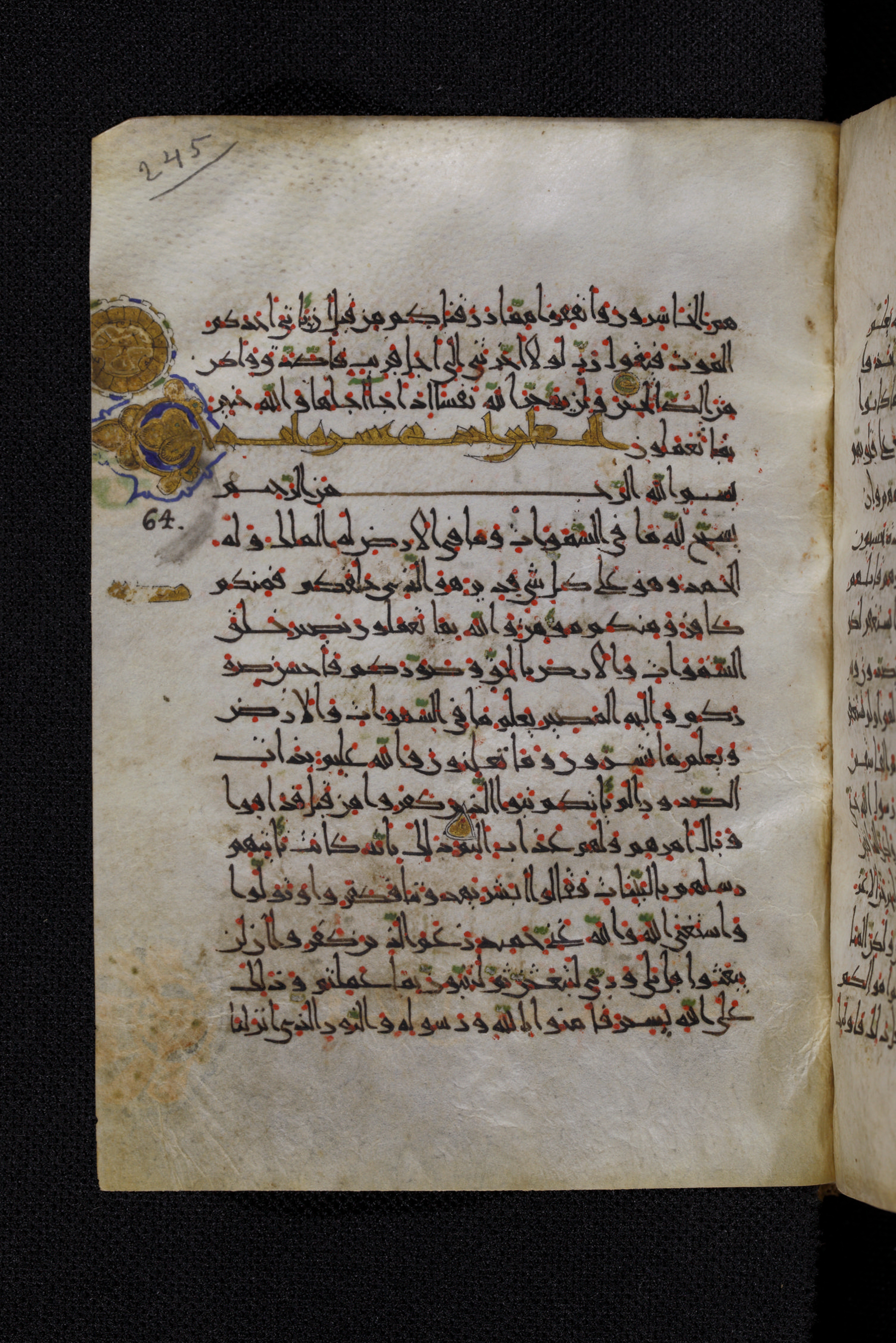 Diez A oct 172, in Transitional Maghrebi script, showing Surah 64:2 from Late 9th to Mid 11th Century AD found in Unknown, currently housed at Staatsbibliothek zu Berlin, Berlin, Germany