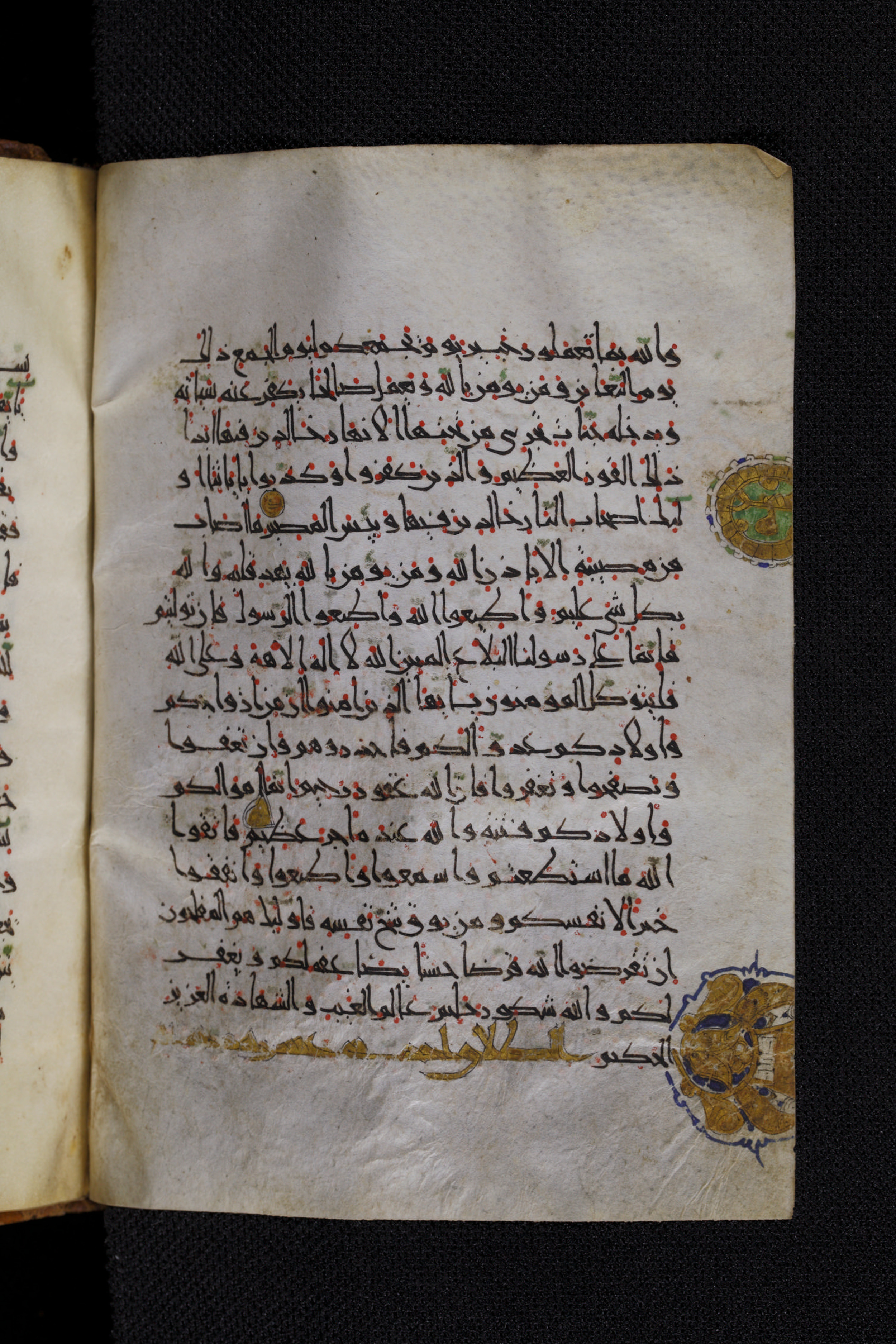 Diez A oct 172, in Transitional Maghrebi script, showing Surah 64:13 from Late 9th to Mid 11th Century AD found in Unknown, currently housed at Staatsbibliothek zu Berlin, Berlin, Germany