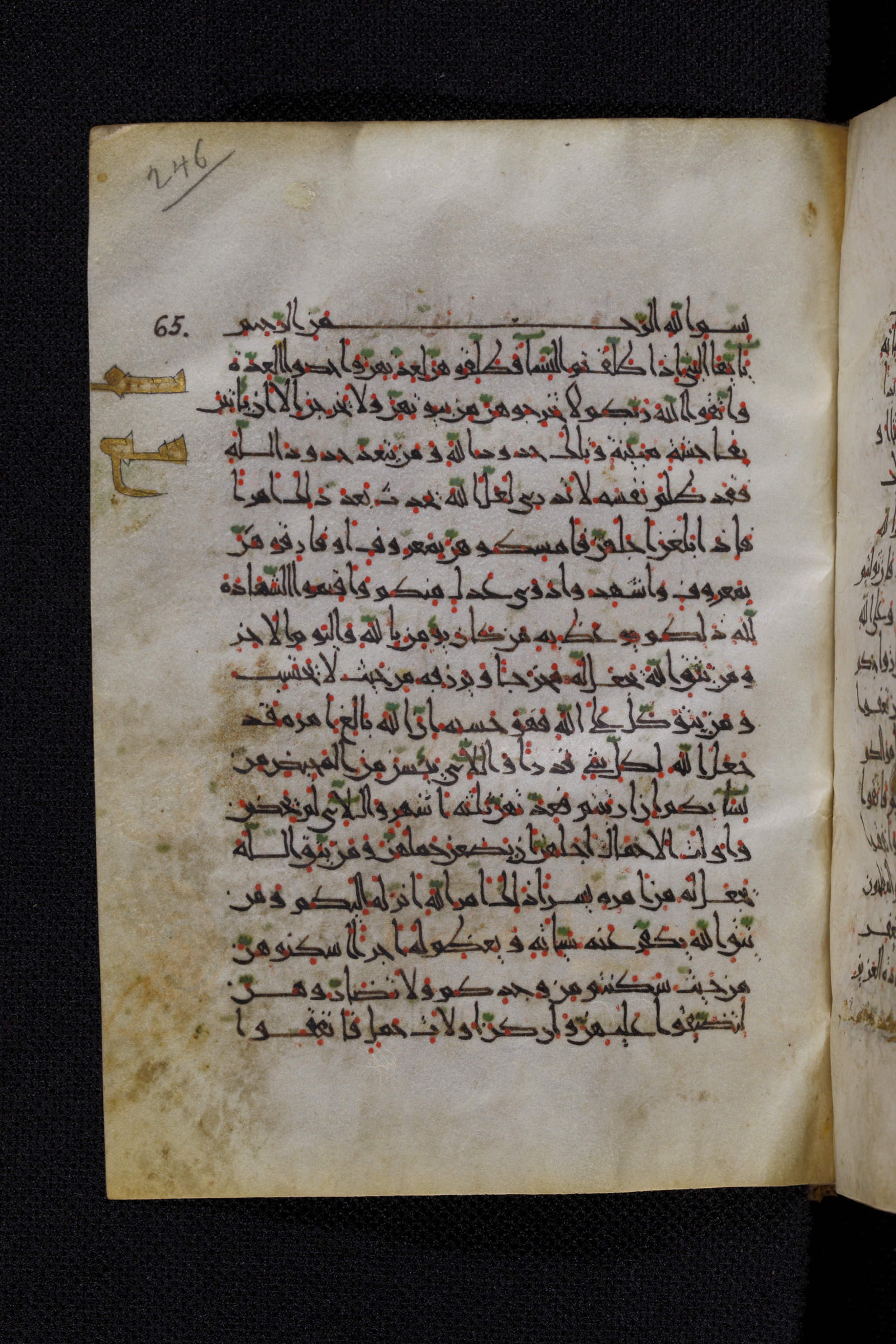 Diez A oct 172, in Transitional Maghrebi script, showing Surah 65:3 from Late 9th to Mid 11th Century AD found in Unknown, currently housed at Staatsbibliothek zu Berlin, Berlin, Germany