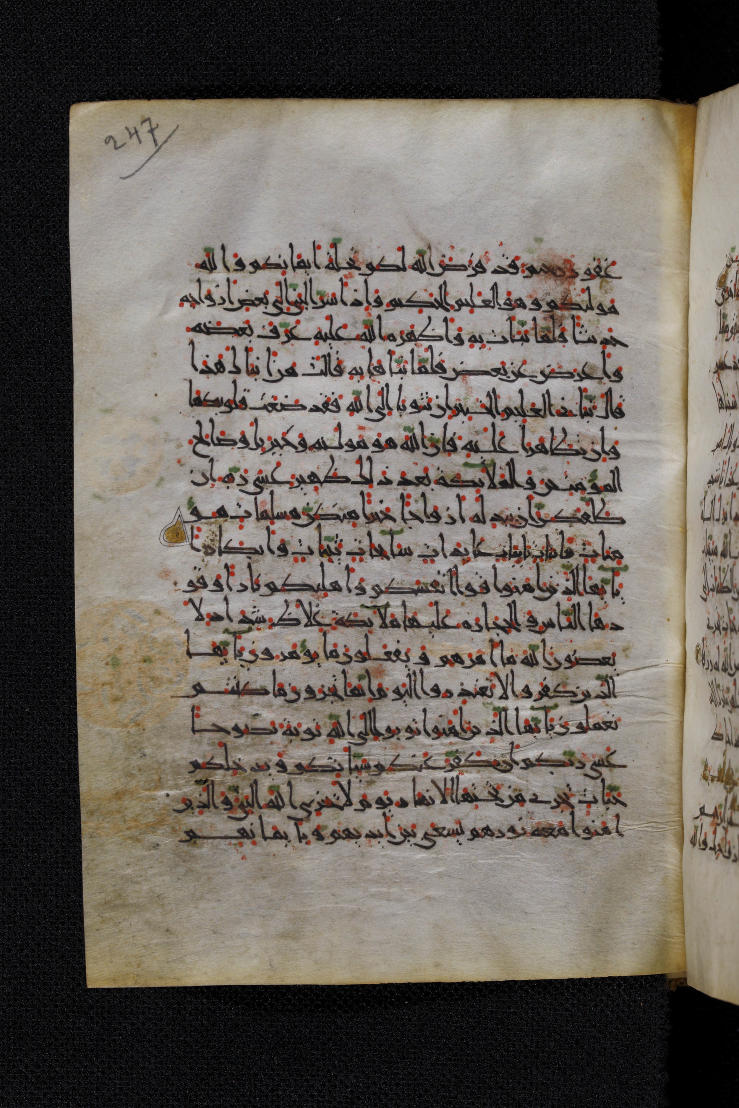 Diez A oct 172, in Transitional Maghrebi script, showing Surah 66:7 from Late 9th to Mid 11th Century AD found in Unknown, currently housed at Staatsbibliothek zu Berlin, Berlin, Germany