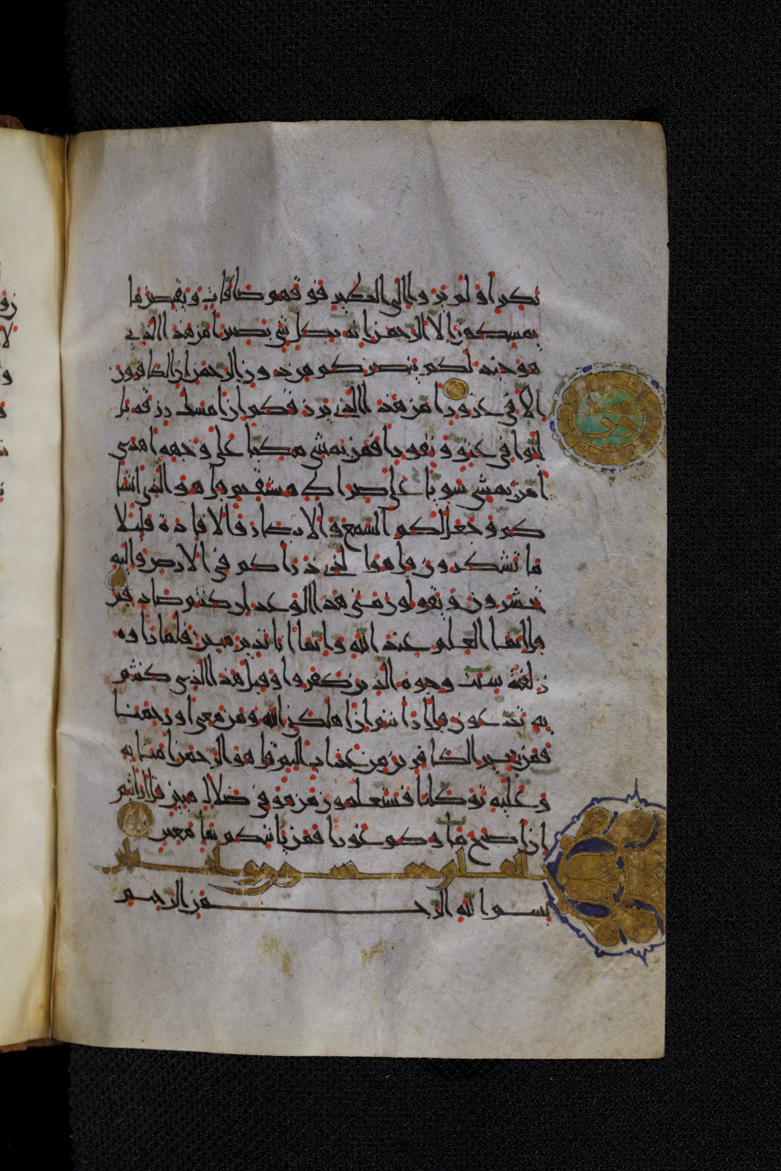 Diez A oct 172, in Transitional Maghrebi script, showing Surah 67:21 from Late 9th to Mid 11th Century AD found in Unknown, currently housed at Staatsbibliothek zu Berlin, Berlin, Germany