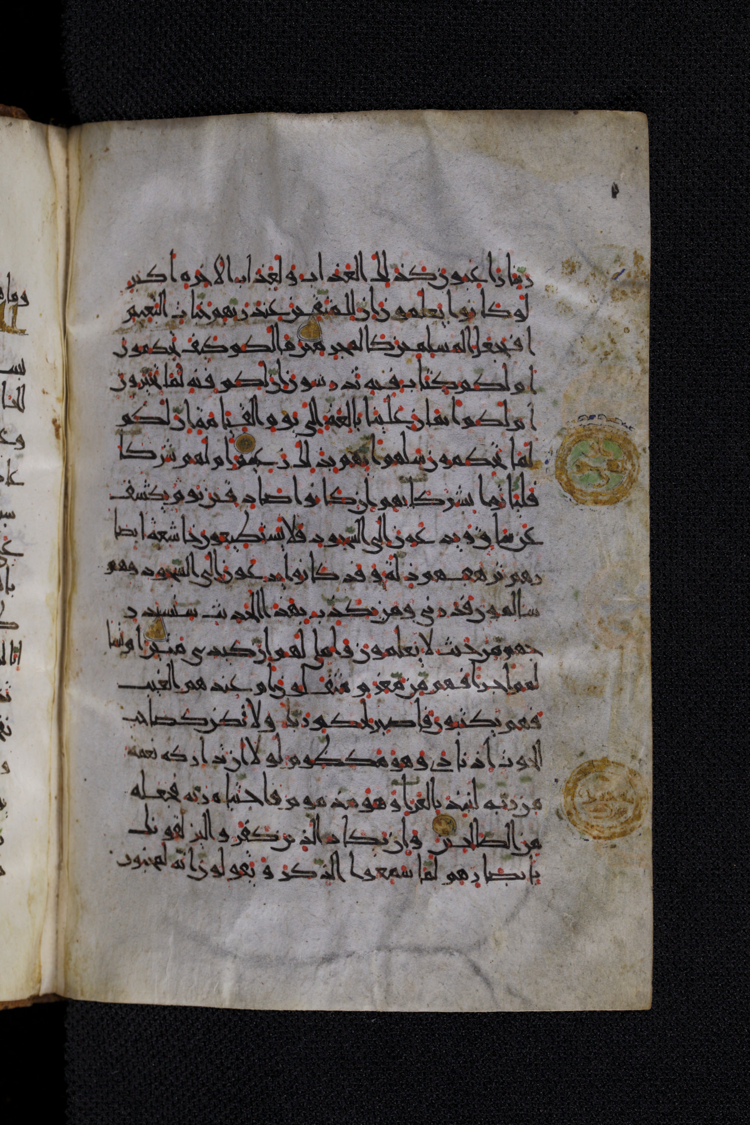 Diez A oct 172, in Transitional Maghrebi script, showing Surah 68:49 from Late 9th to Mid 11th Century AD found in Unknown, currently housed at Staatsbibliothek zu Berlin, Berlin, Germany