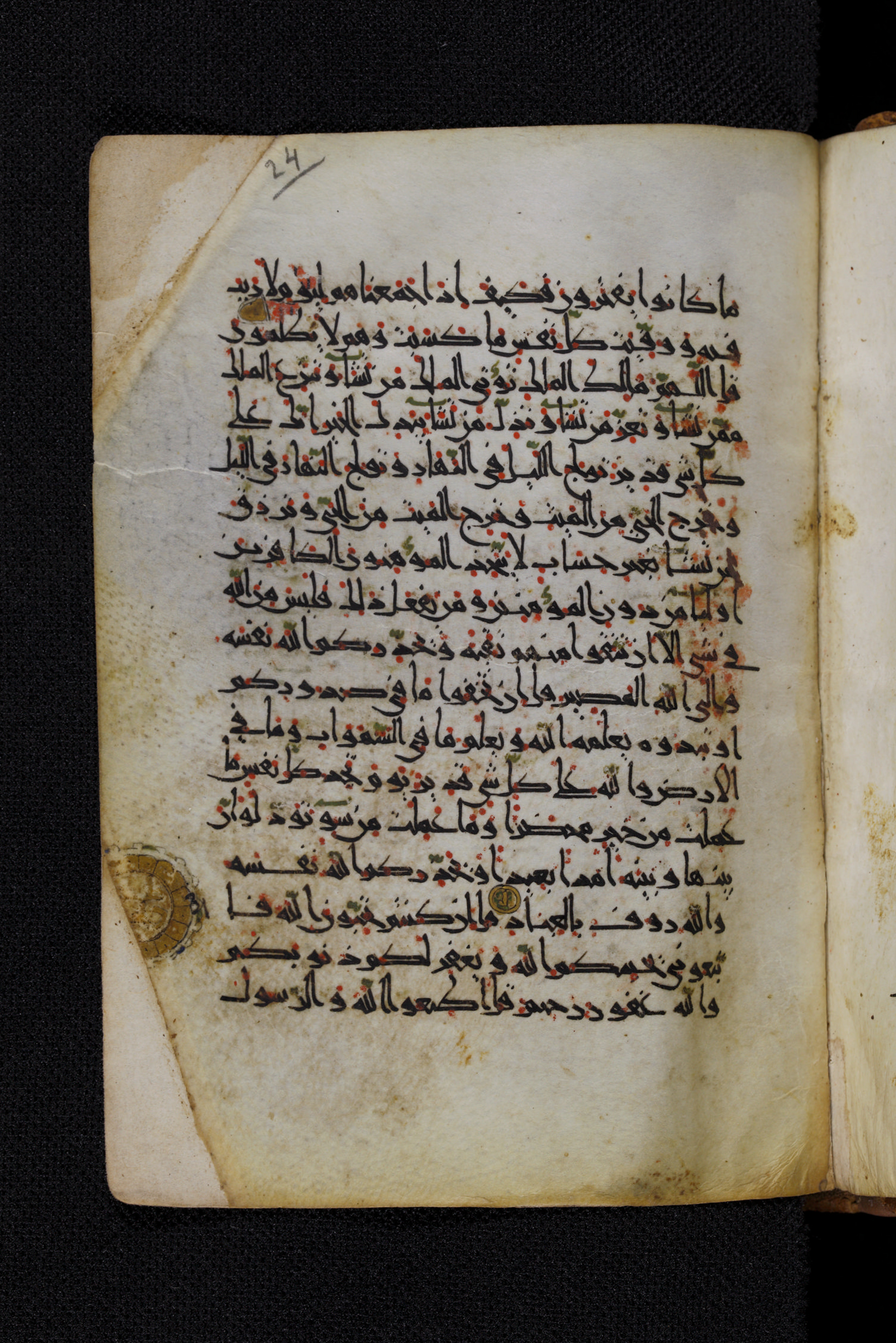 Diez A oct 172, in Transitional Maghrebi script, showing Surah 3:29 from Late 9th to Mid 11th Century AD found in Unknown, currently housed at Staatsbibliothek zu Berlin, Berlin, Germany