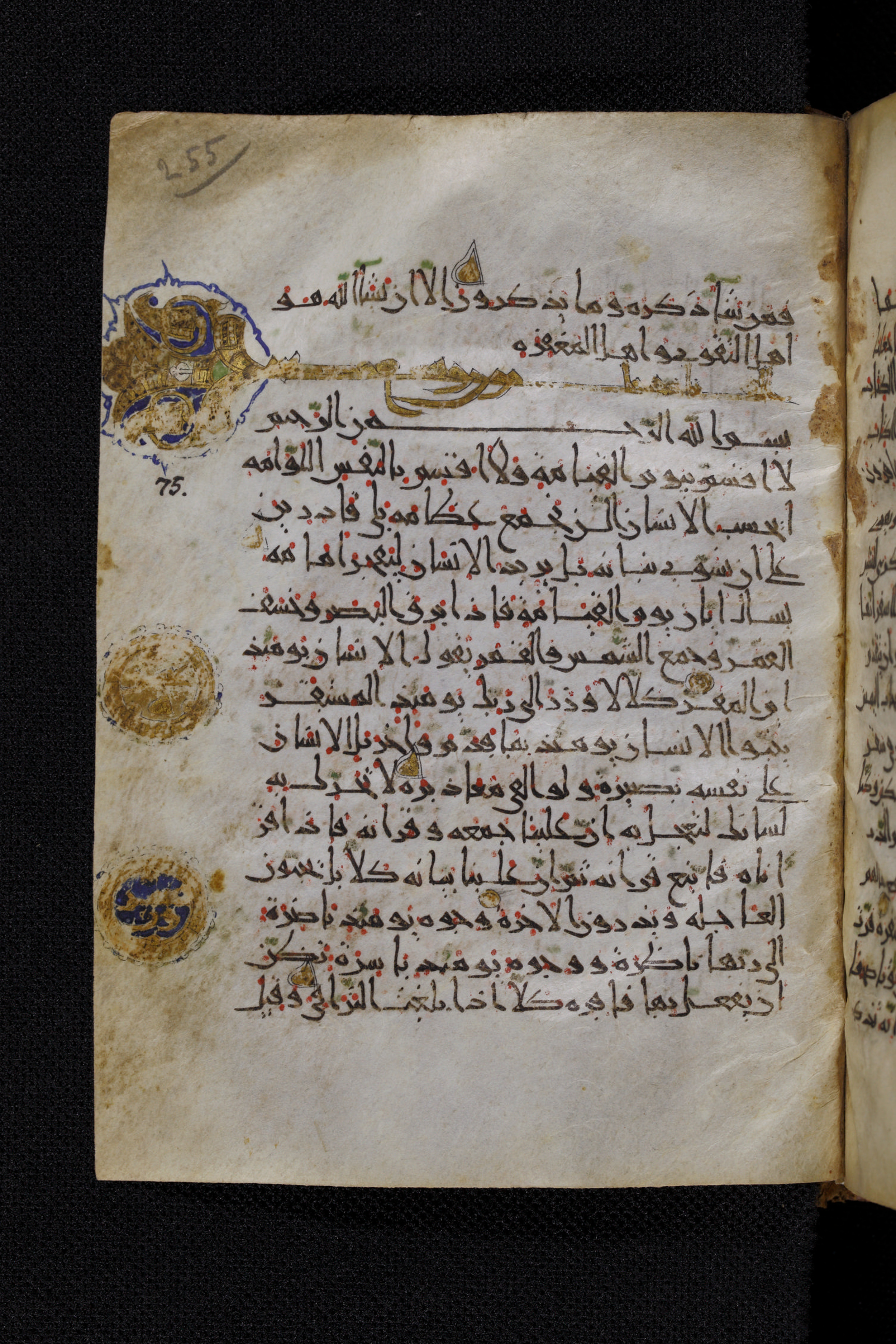 Diez A oct 172, in Transitional Maghrebi script, showing Surah 75:21 from Late 9th to Mid 11th Century AD found in Unknown, currently housed at Staatsbibliothek zu Berlin, Berlin, Germany