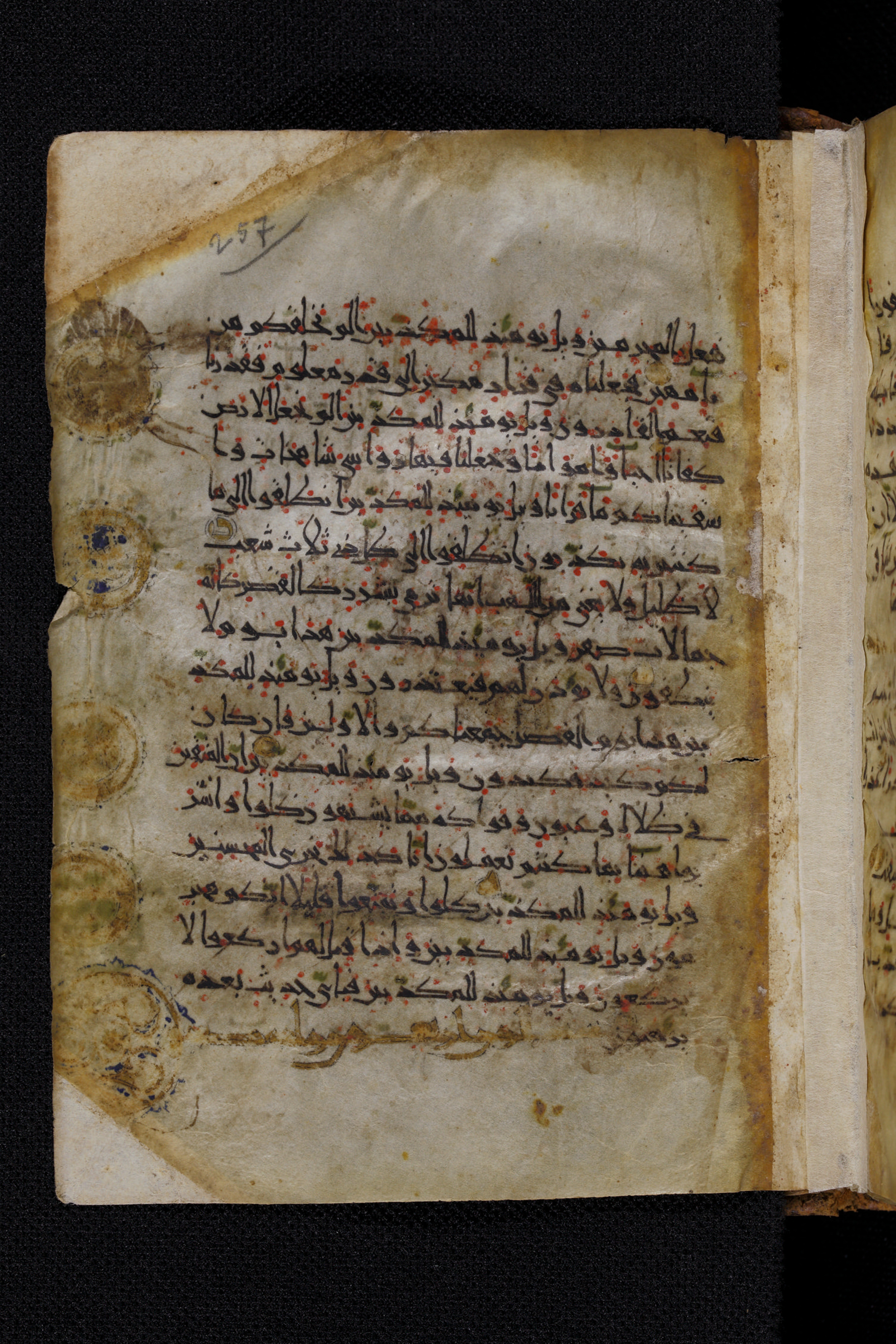 Diez A oct 172, in Transitional Maghrebi script, showing Surah 77:21 from Late 9th to Mid 11th Century AD found in Unknown, currently housed at Staatsbibliothek zu Berlin, Berlin, Germany