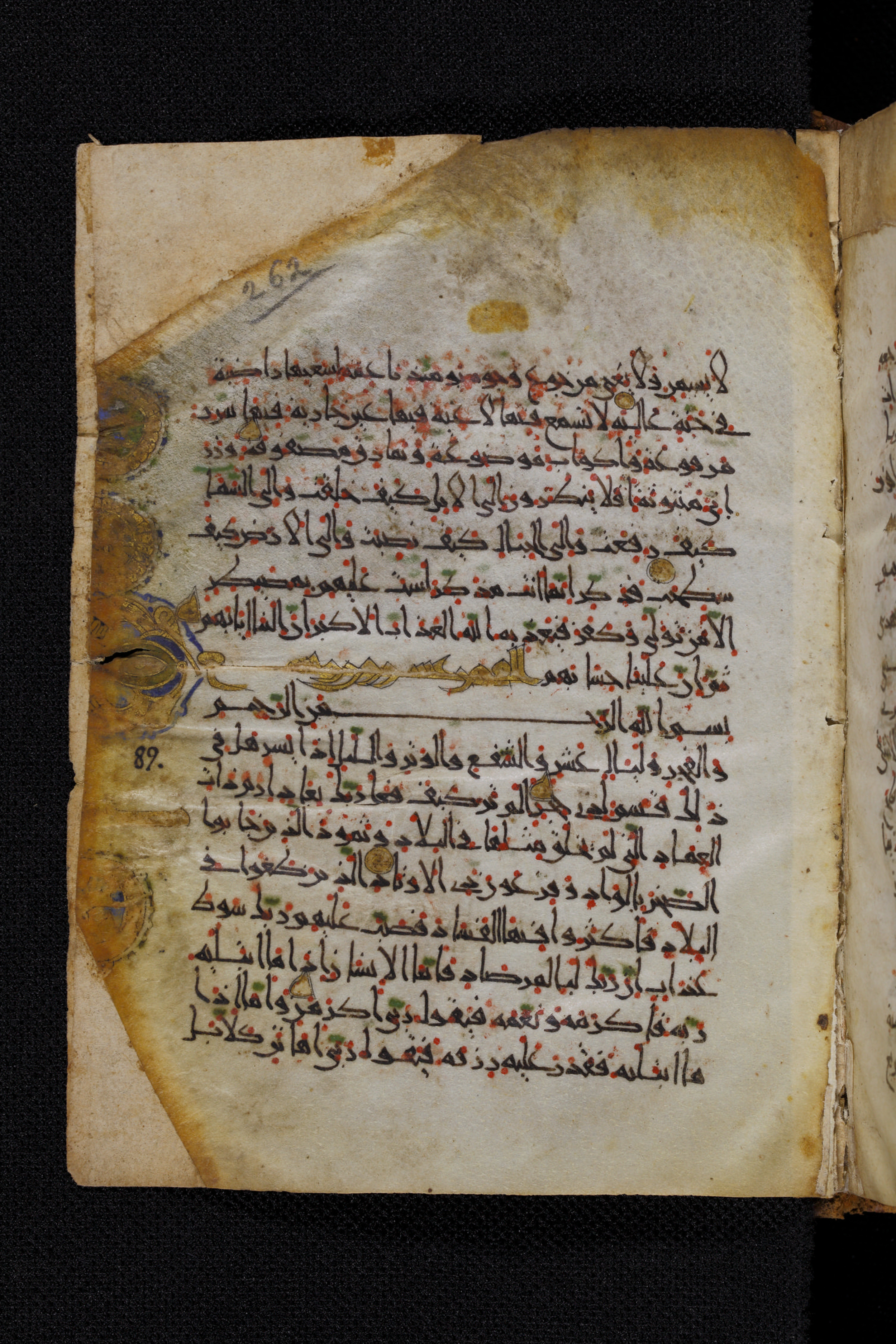 Diez A oct 172, in Transitional Maghrebi script, showing Surah 88:21 from Late 9th to Mid 11th Century AD found in Unknown, currently housed at Staatsbibliothek zu Berlin, Berlin, Germany